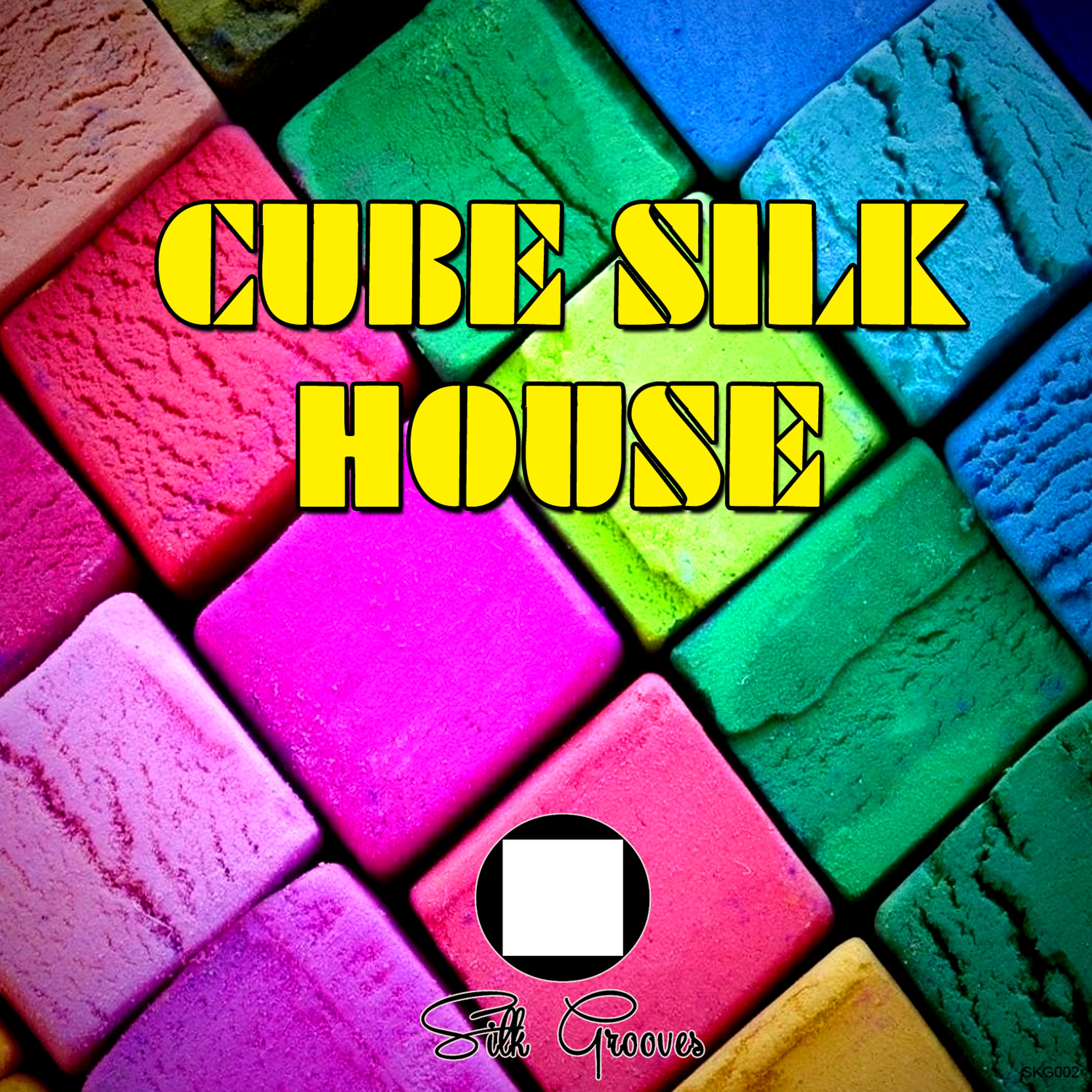 Постер альбома Cube Silk House