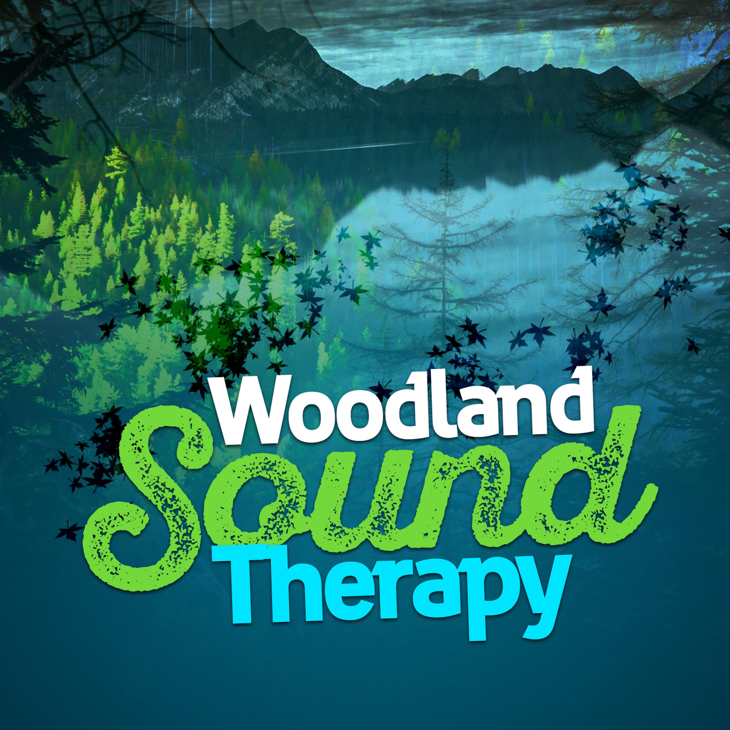 Постер альбома Woodland Sound Therapy