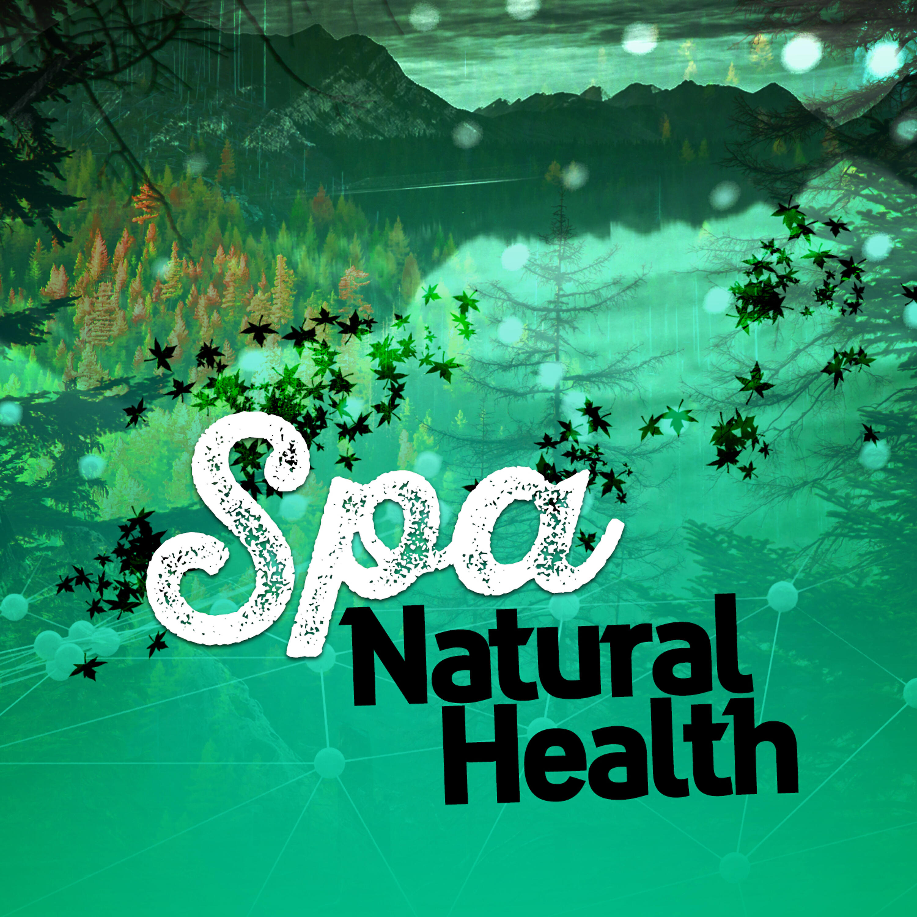 Nature Spa - Calm Coppice