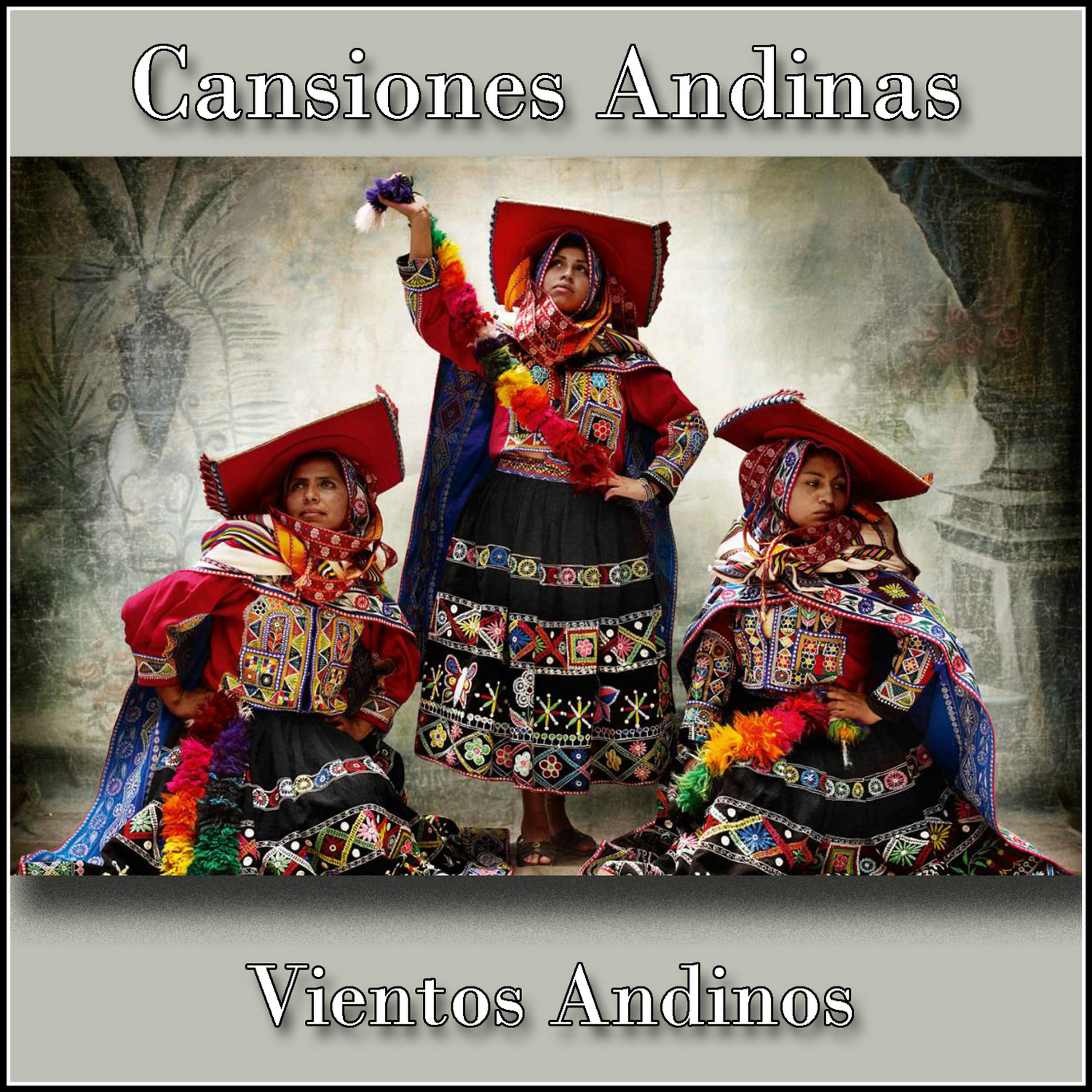 Постер альбома Canciones Andinas - Vientos Andinos
