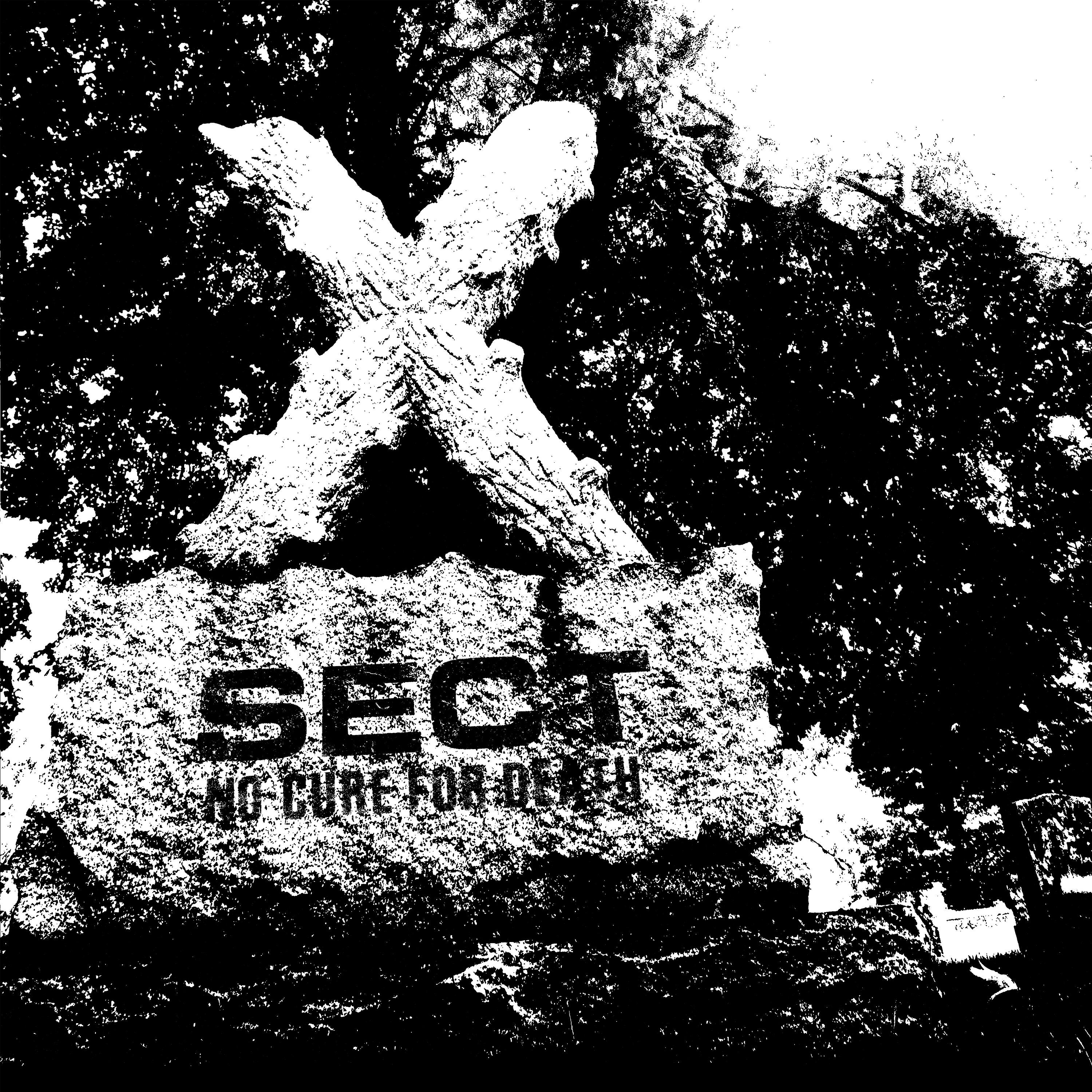 Sect - Liberal Arts
