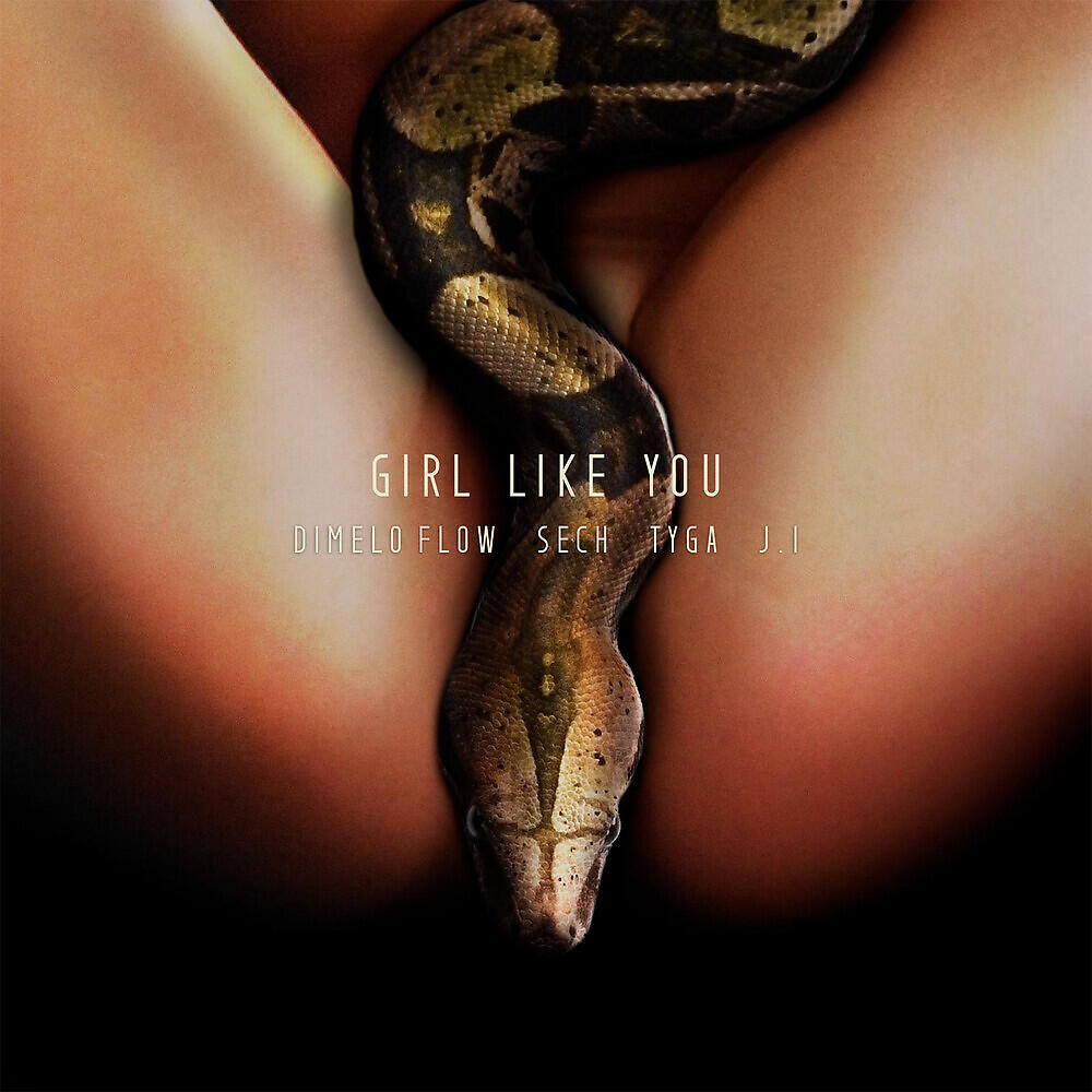 Dimelo Flow - Girl Like You