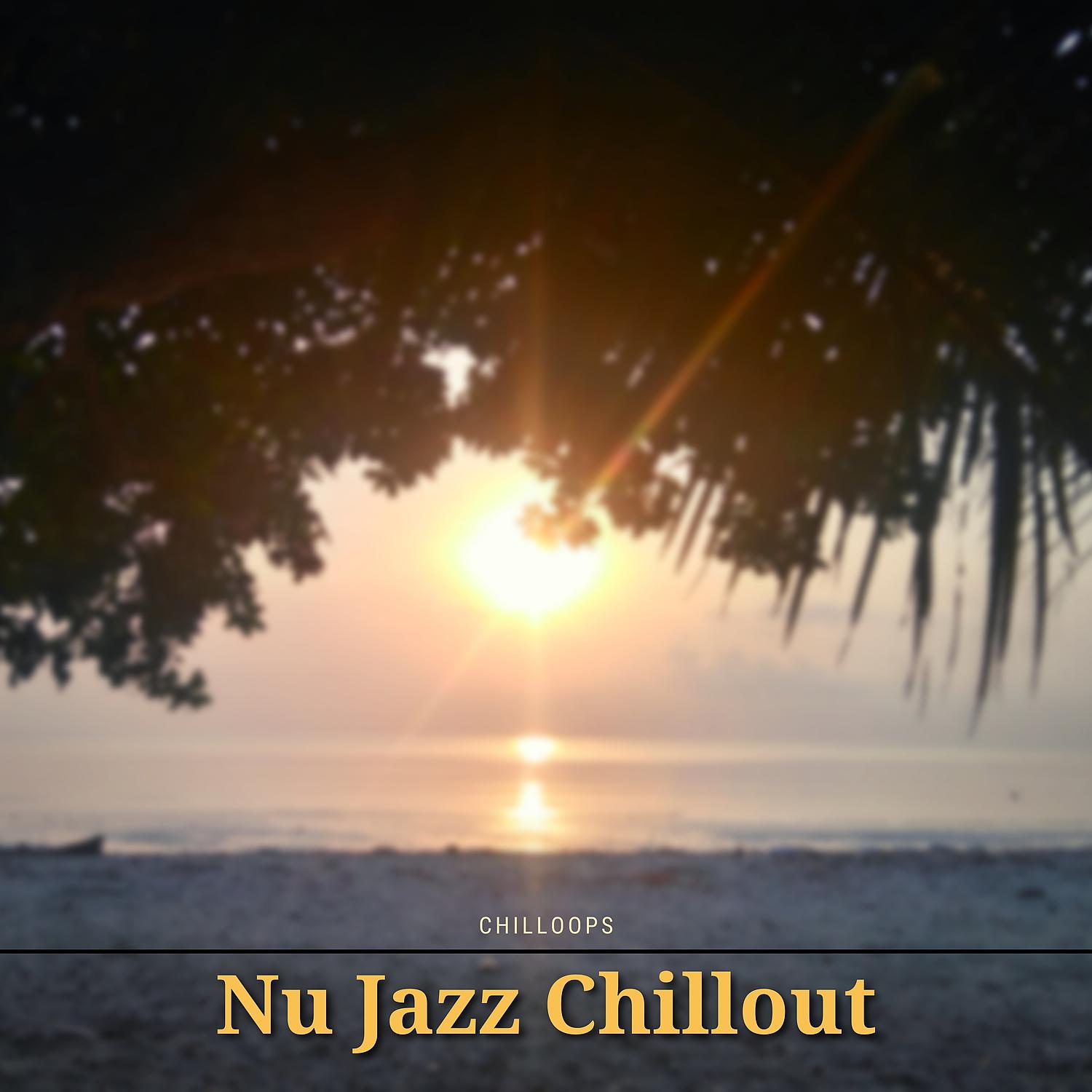 Постер альбома Nu Jazz Chillout