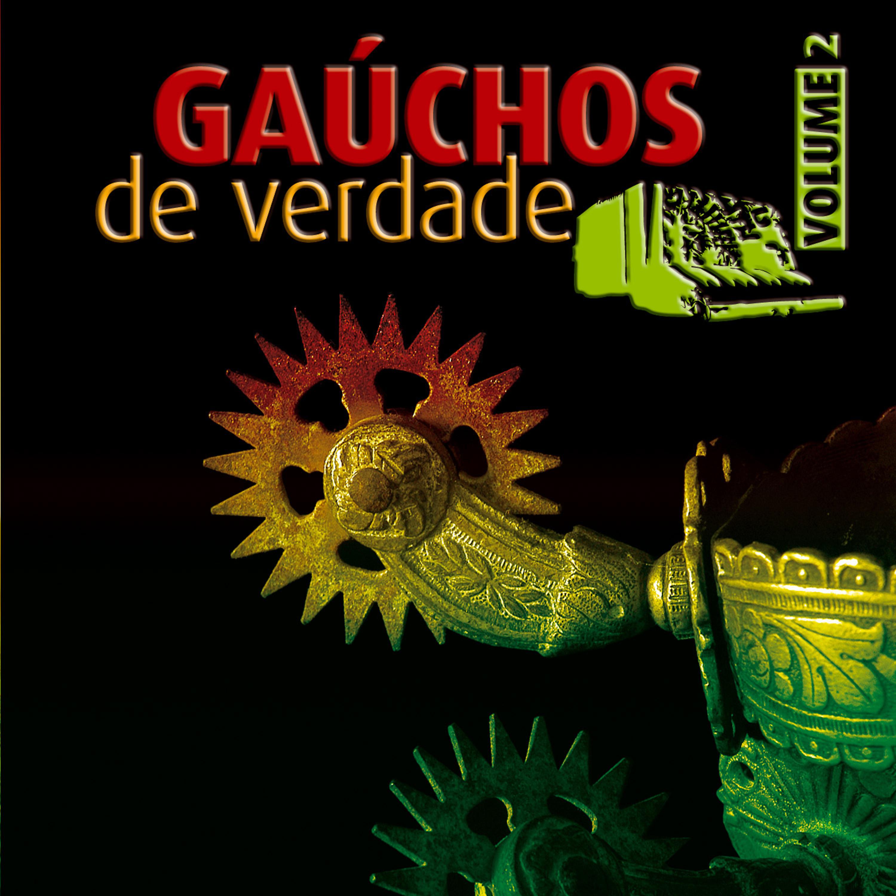 Постер альбома Gaúchos de Verdade, Vol. 2