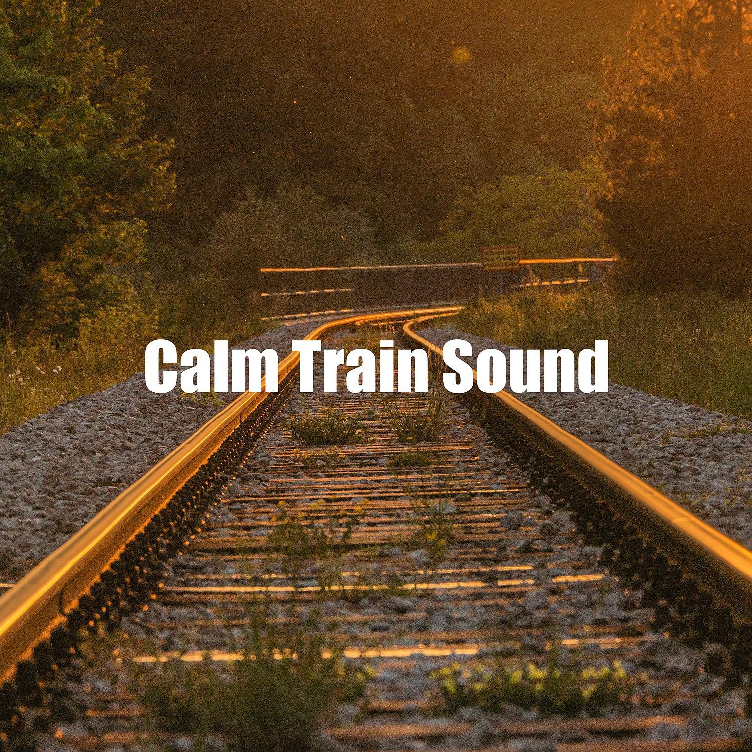 Постер альбома Calm Train Sound