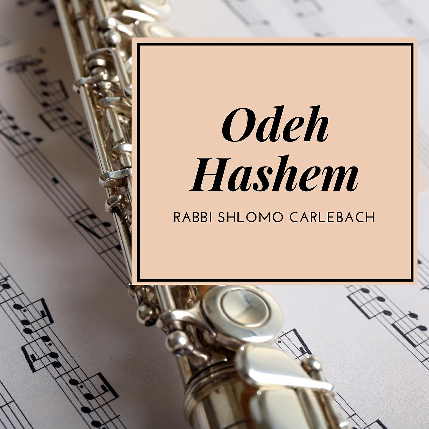Rabbi Shlomo Carlebach - Hiney (The Lord Awakens You)