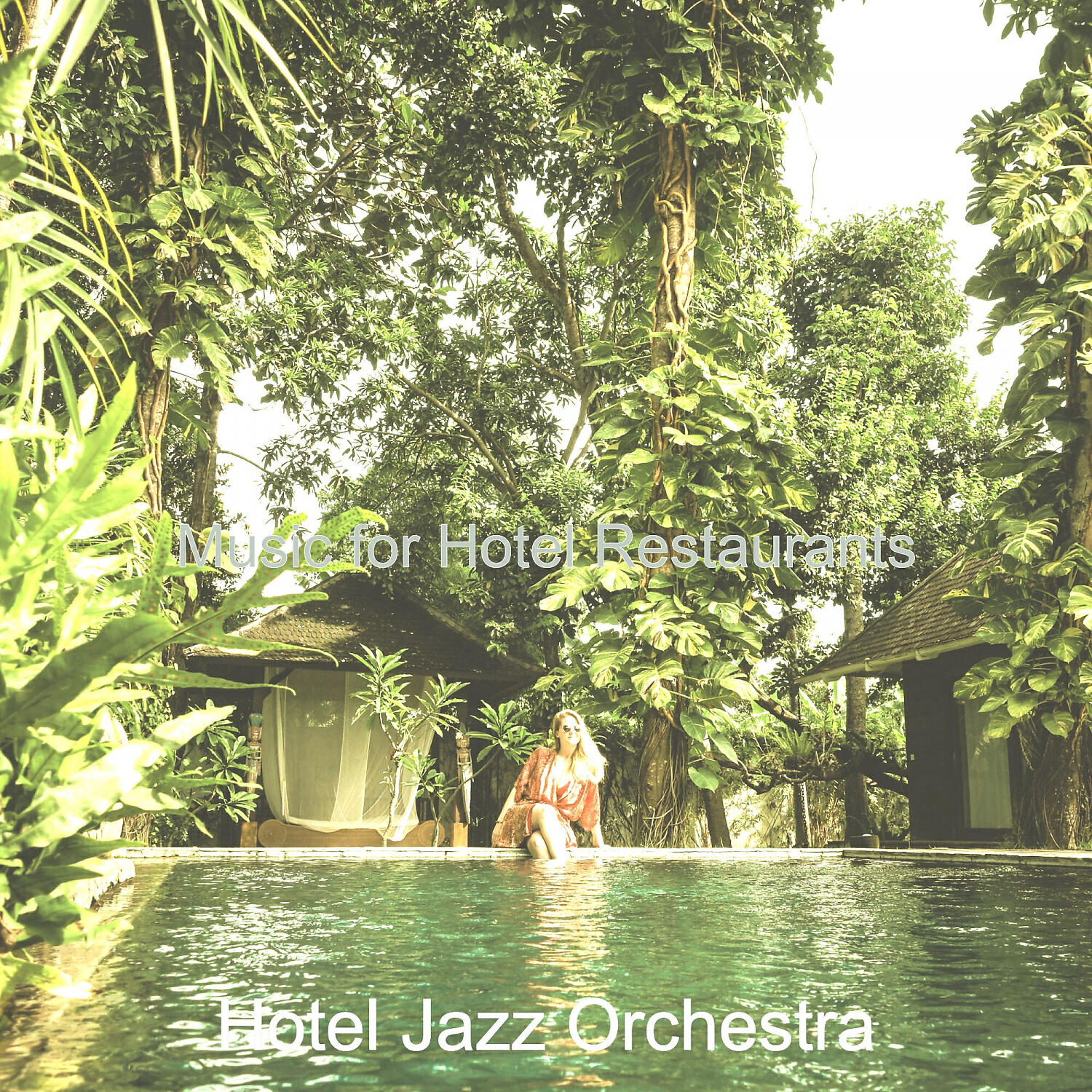 Hotel Jazz Orchestra - Pulsating Moods for Luxury Hotels