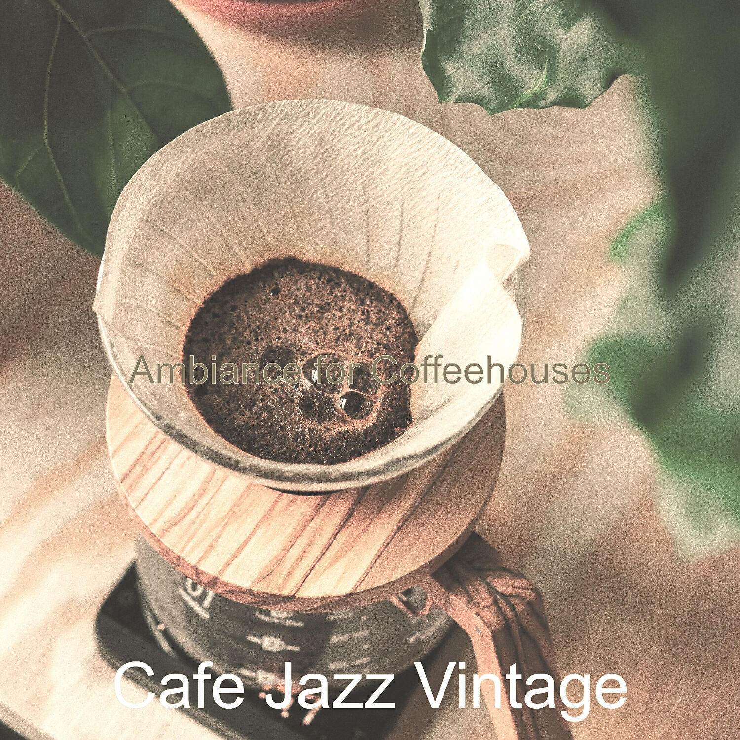 Cafe Jazz Vintage - Mind-blowing Jazz Guitar Trio - Vibe for Afternoon Coffee