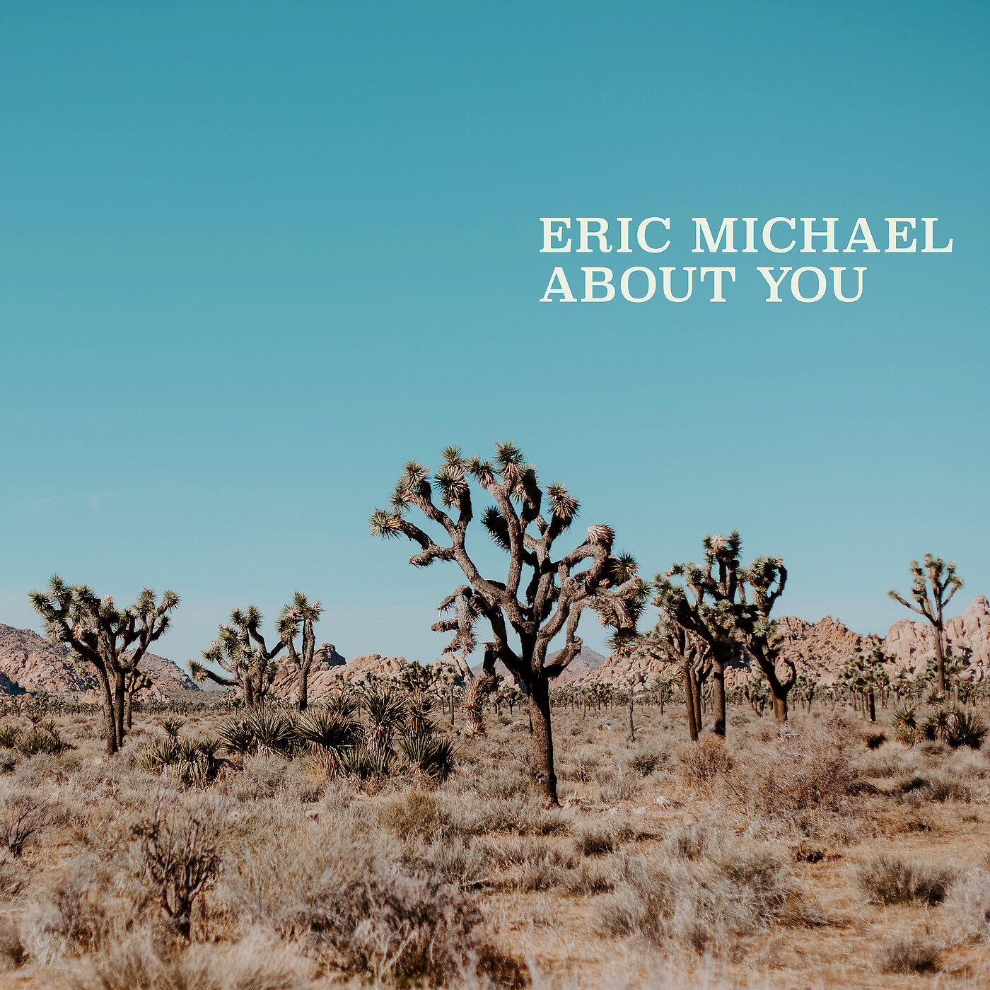 Eric Michael - About You