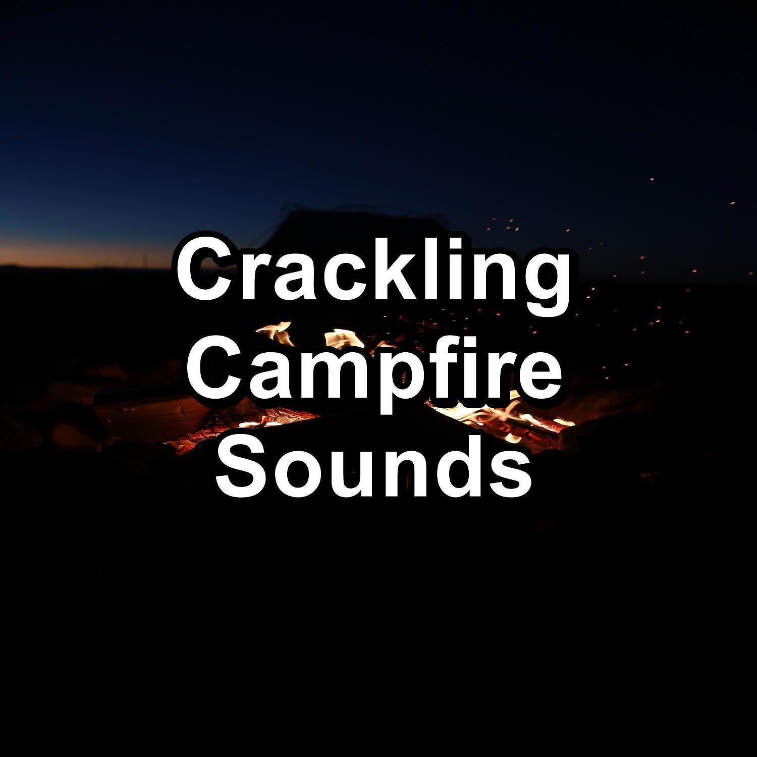 Постер альбома Crackling Campfire Sounds
