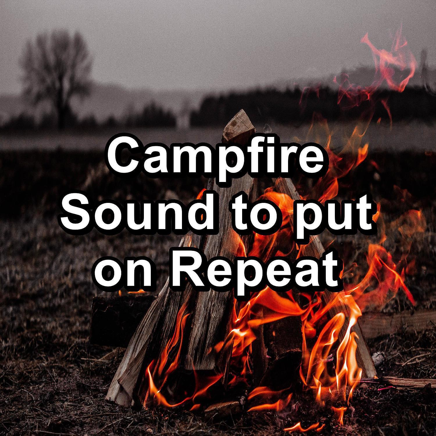 Ocean Wave Sounds - Fire Place Sounds in the Forest For Adults and Babies
