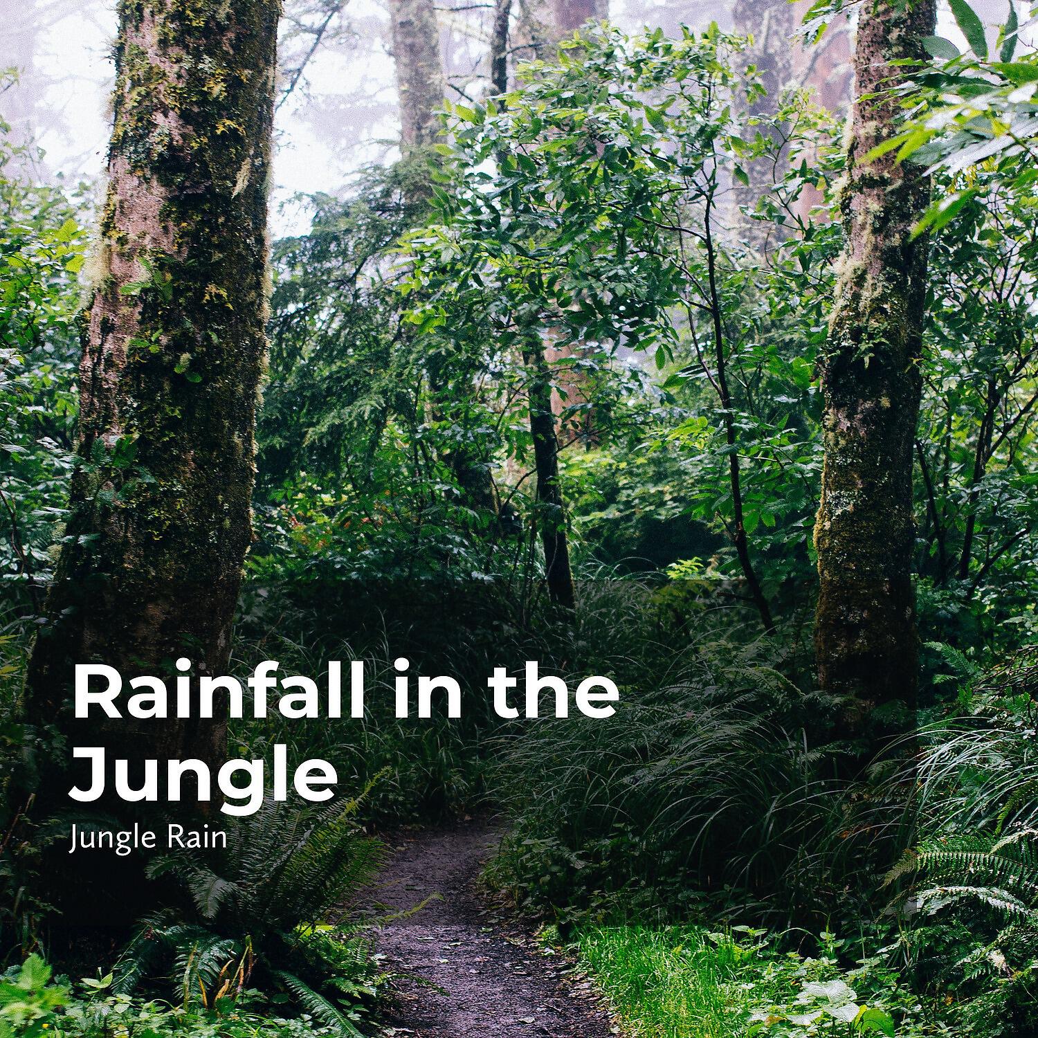 Deep Rain Sampling - Symphonic Wildlife