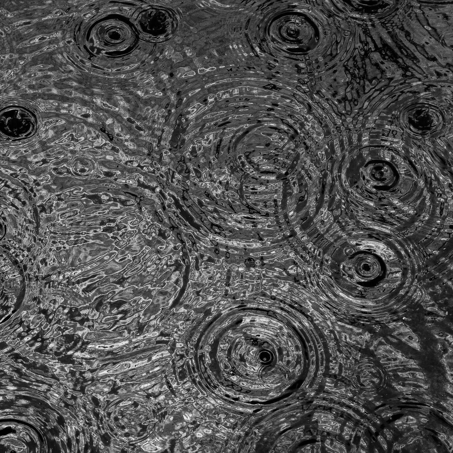 Rain Sounds Nature Collection - Time in the Forest During Rain