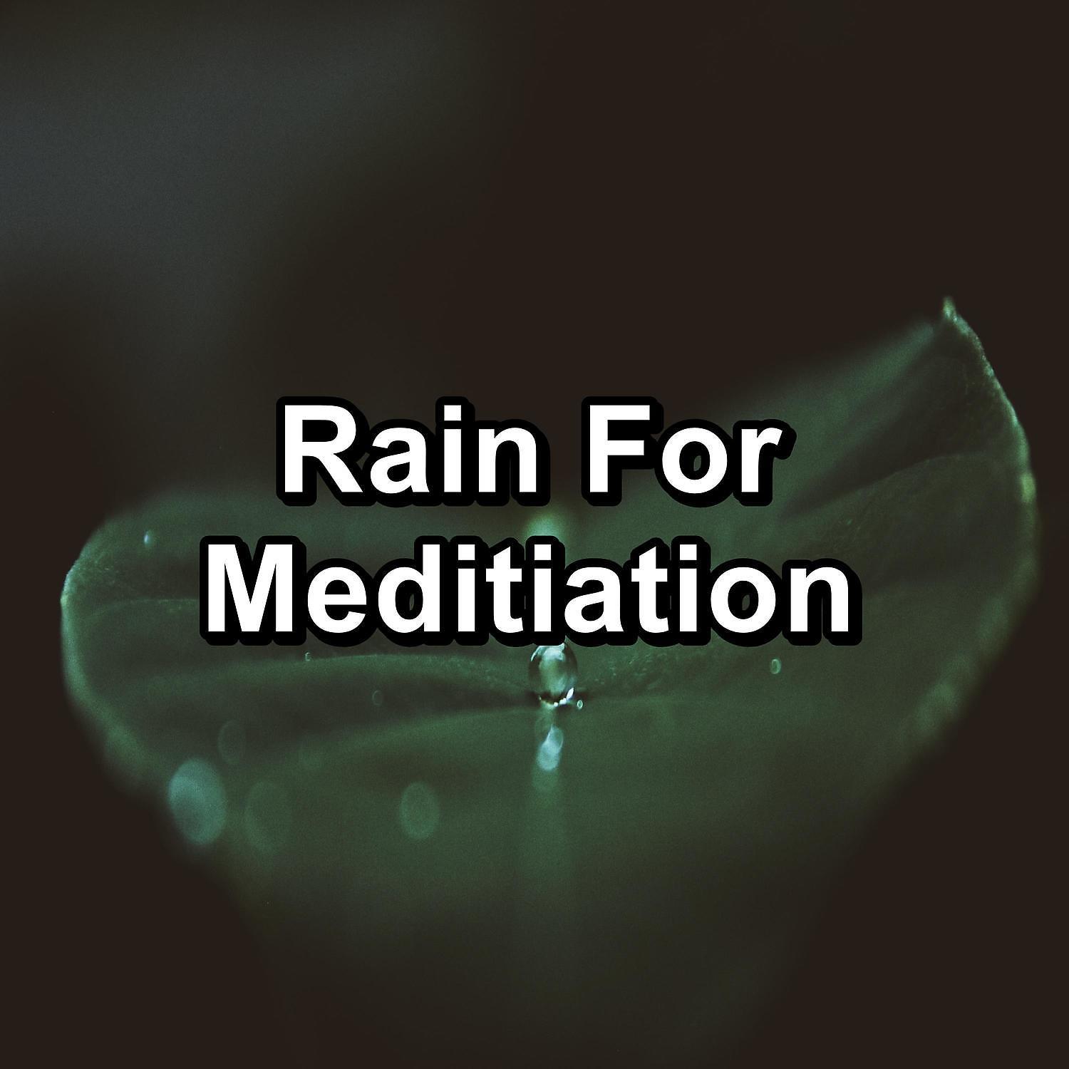Постер альбома Rain For Meditiation