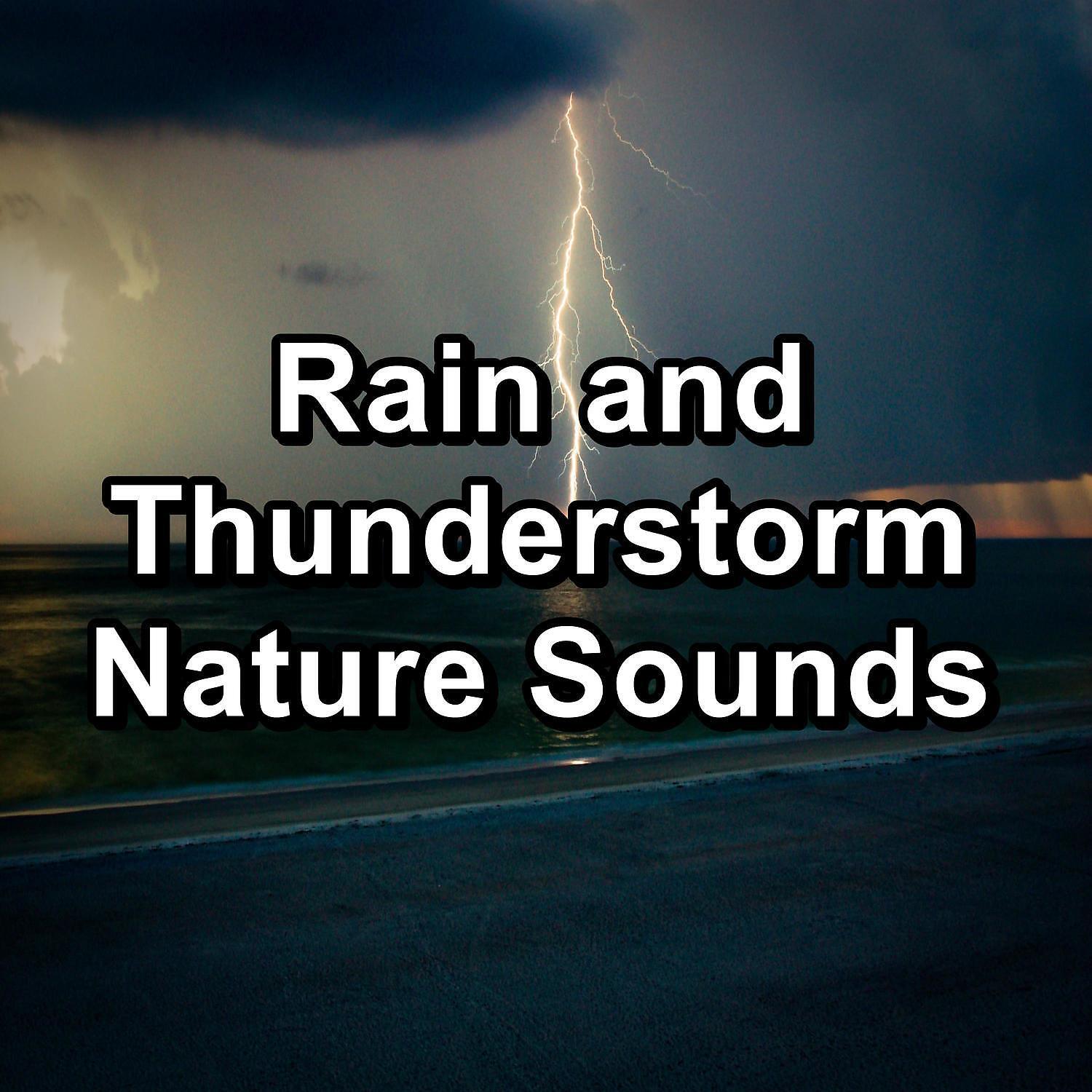 Relax Attack - Medium Rain For Quiet Nights To Relax and Loop for 8 Hours