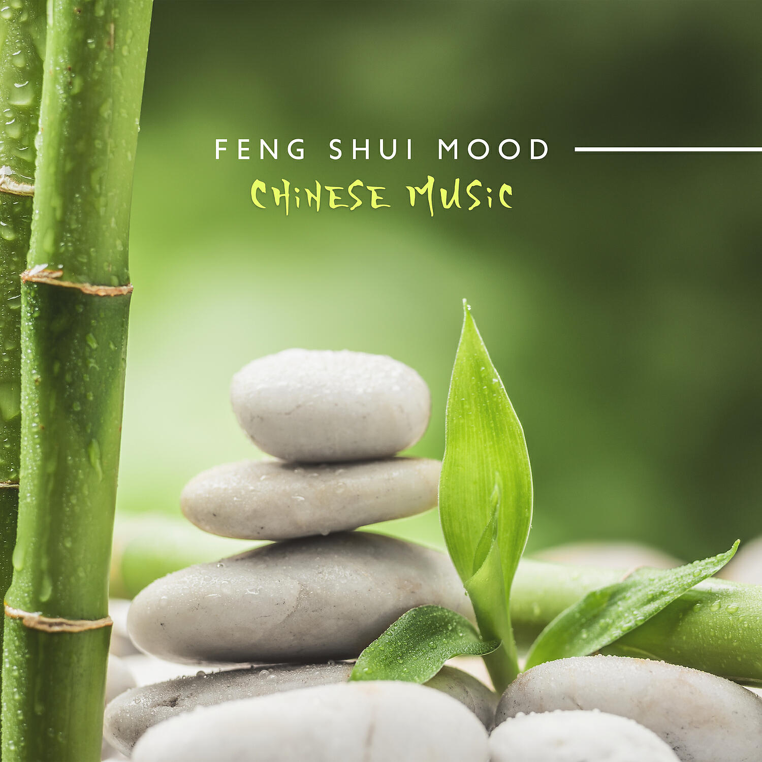Chinese Yang Qin Relaxation Man - Little Bamboo Plant