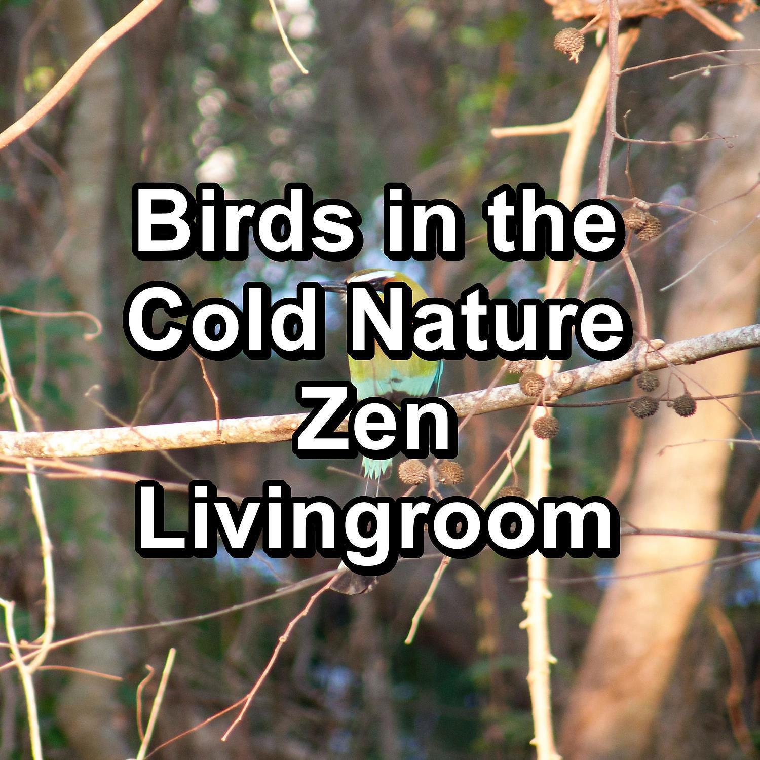 Постер альбома Birds in the Cold Nature Zen Livingroom