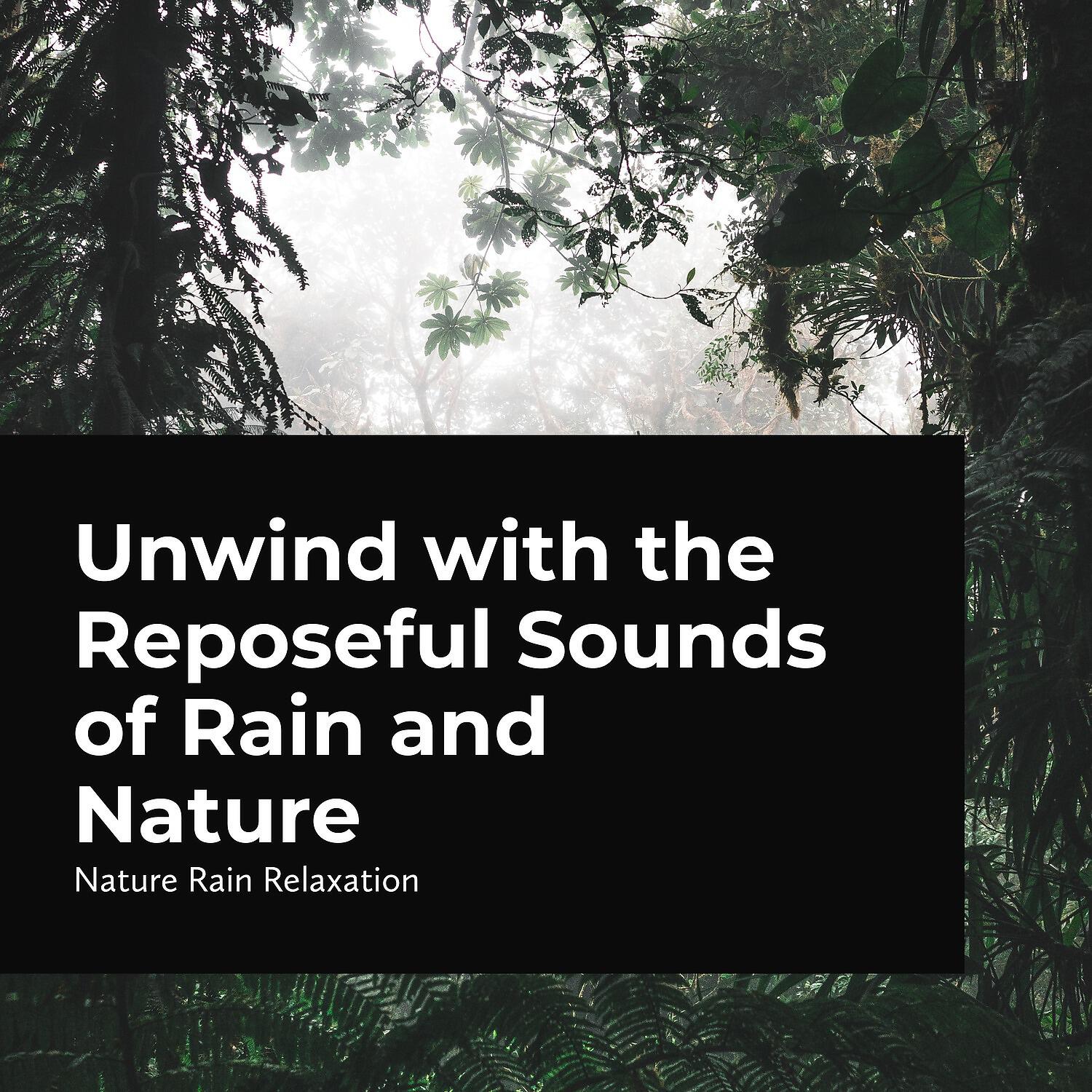Nature Rain Relaxation - Jungle Cloudburst