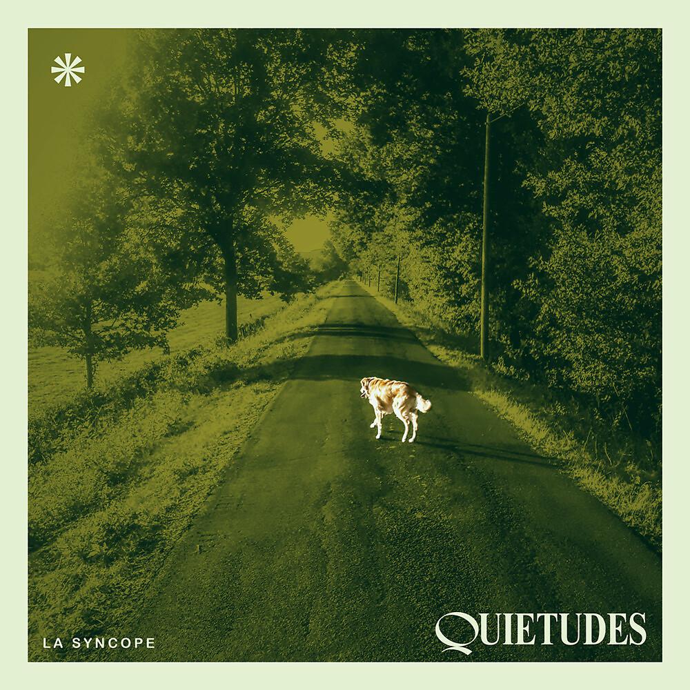 Постер альбома Quietudes