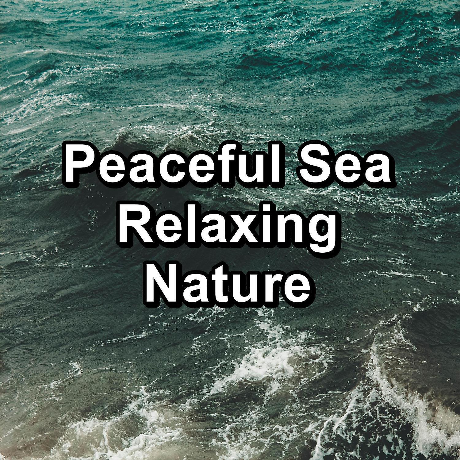 Calm Ocean Sound - Calming Waves With Nature Sounds For Adult and Babies Sleep