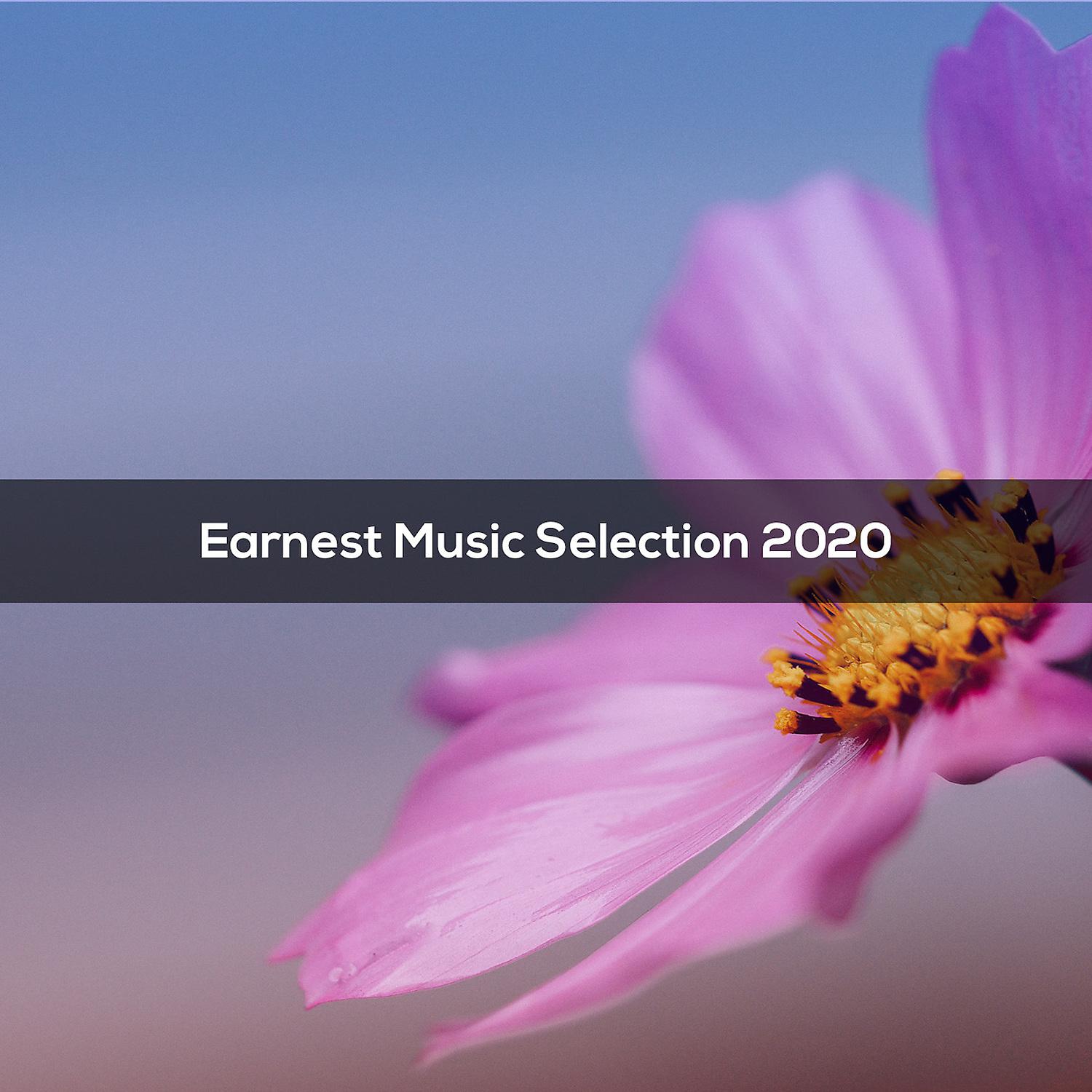 Постер альбома EARNEST MUSIC SELECTION 2020