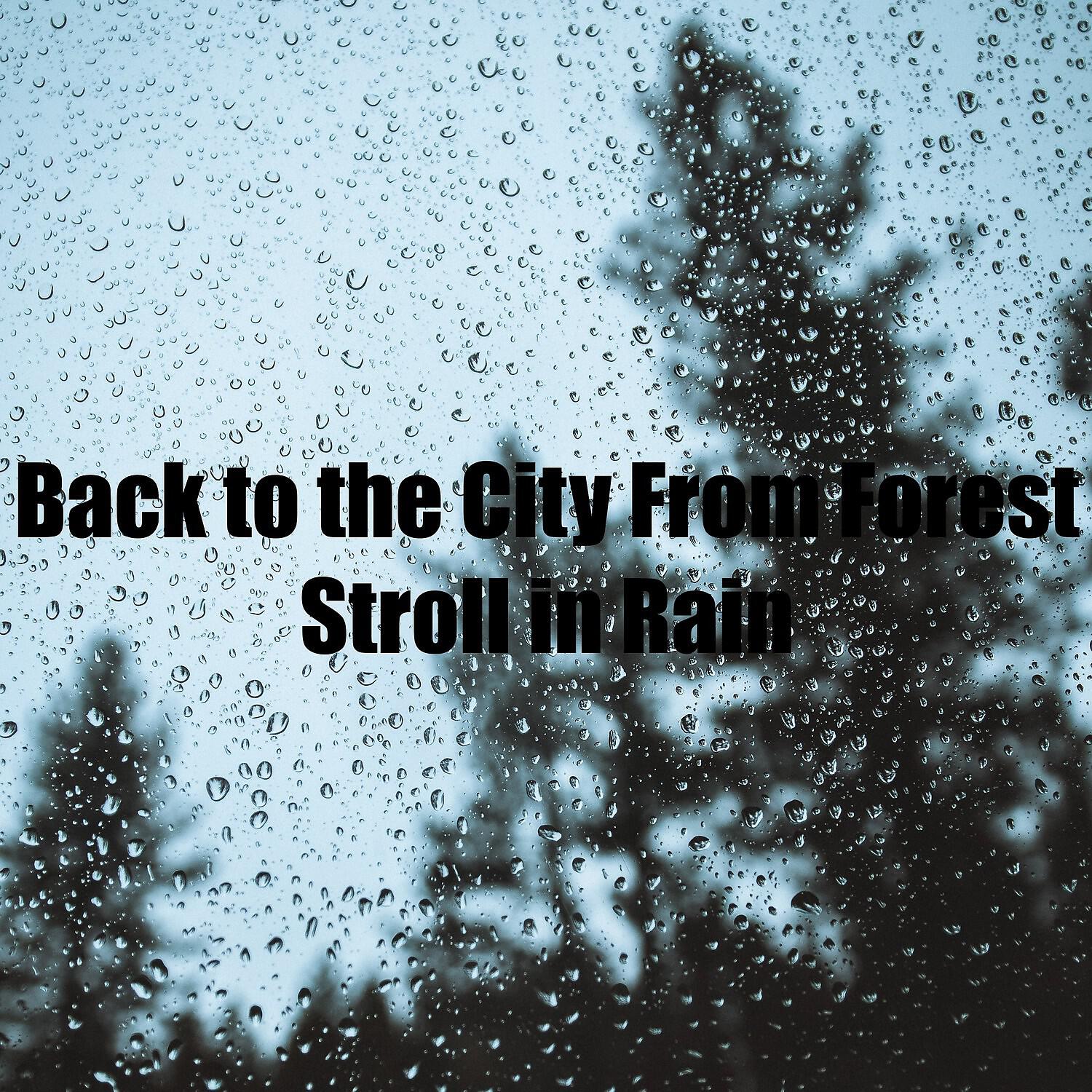 Rain Recordings - Back to the City From Forest Stroll in Rain