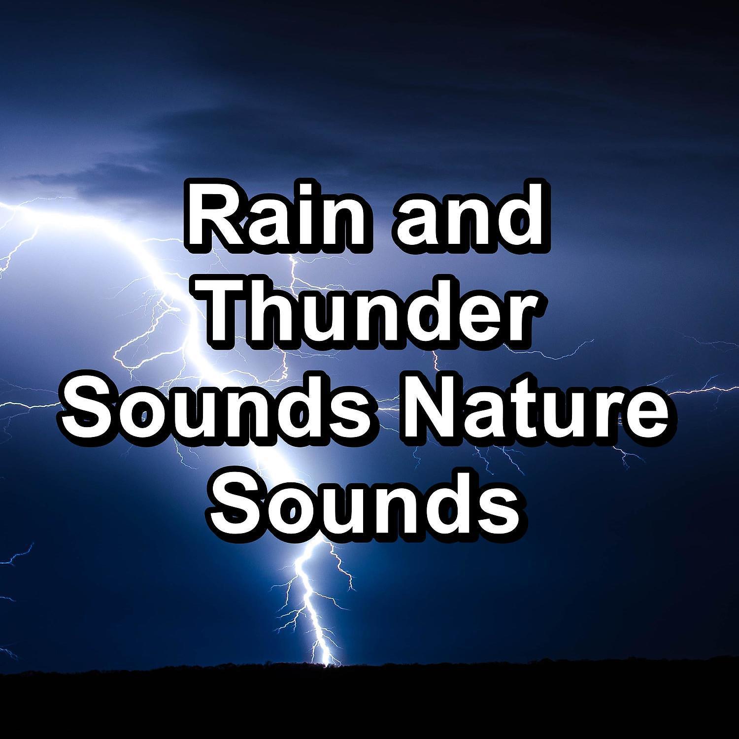 Постер альбома Rain and Thunder Sounds Nature Sounds