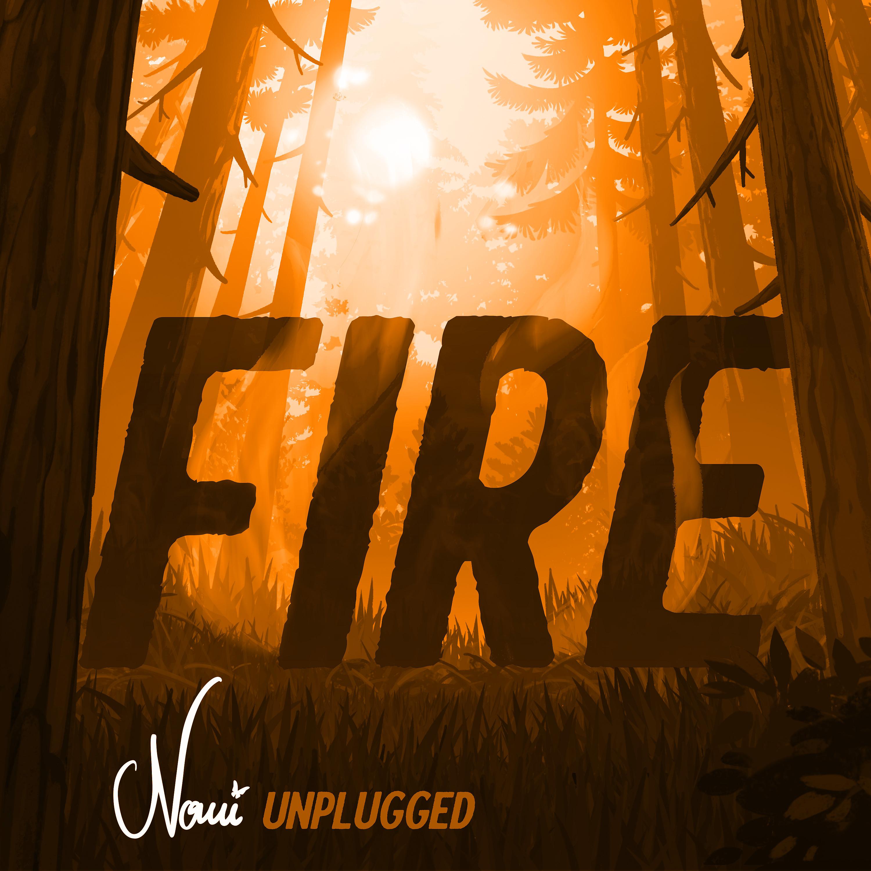 Постер альбома Fire (Unplugged)
