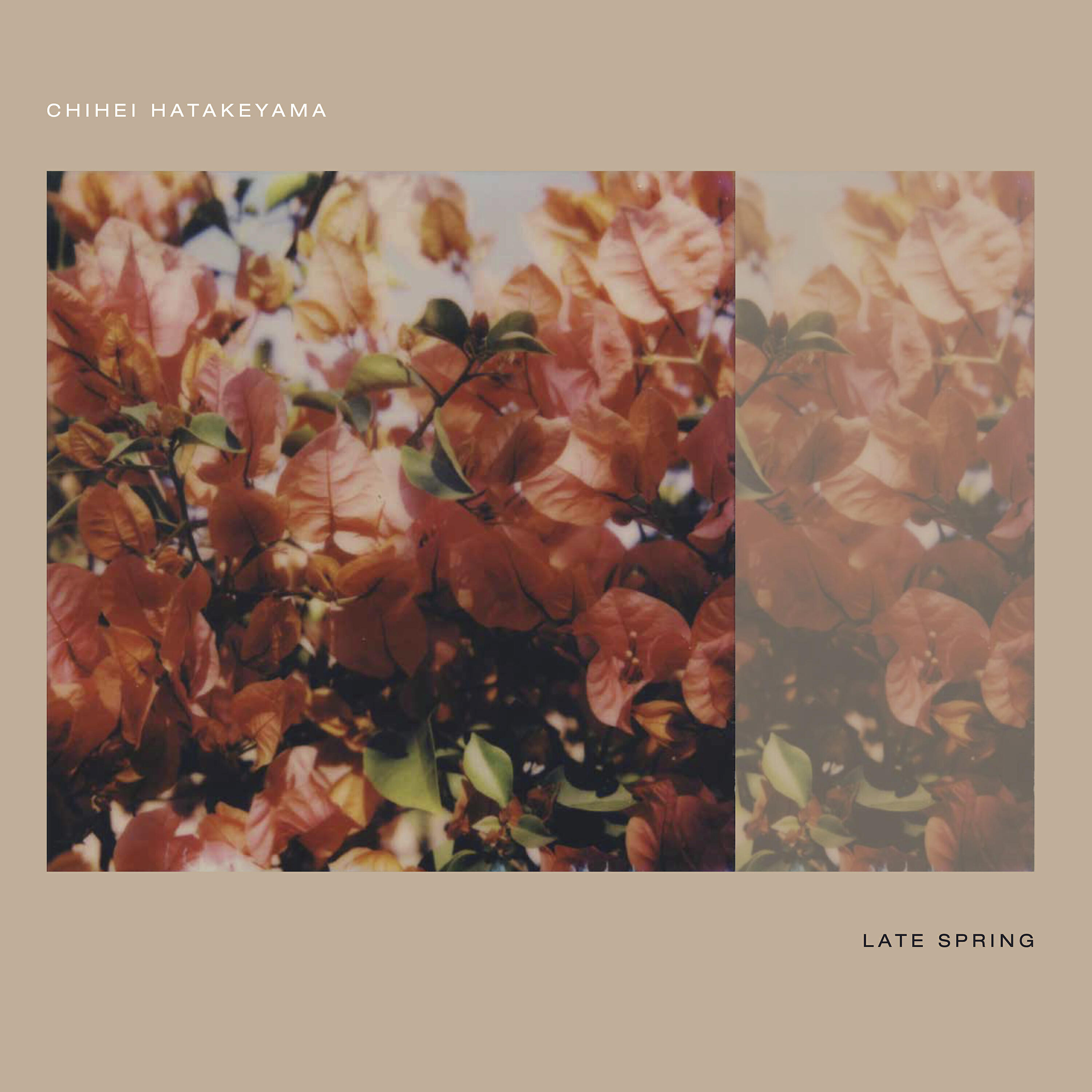 Chihei Hatakeyama - Memory in the Screen