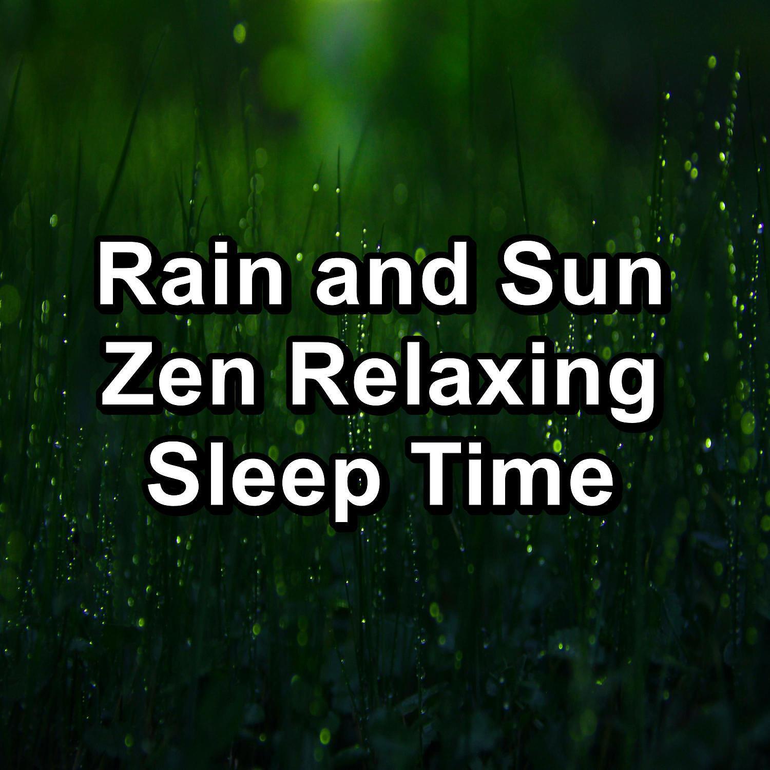 Relaxing Music Therapy - Rain Water Gathered in a Puddle