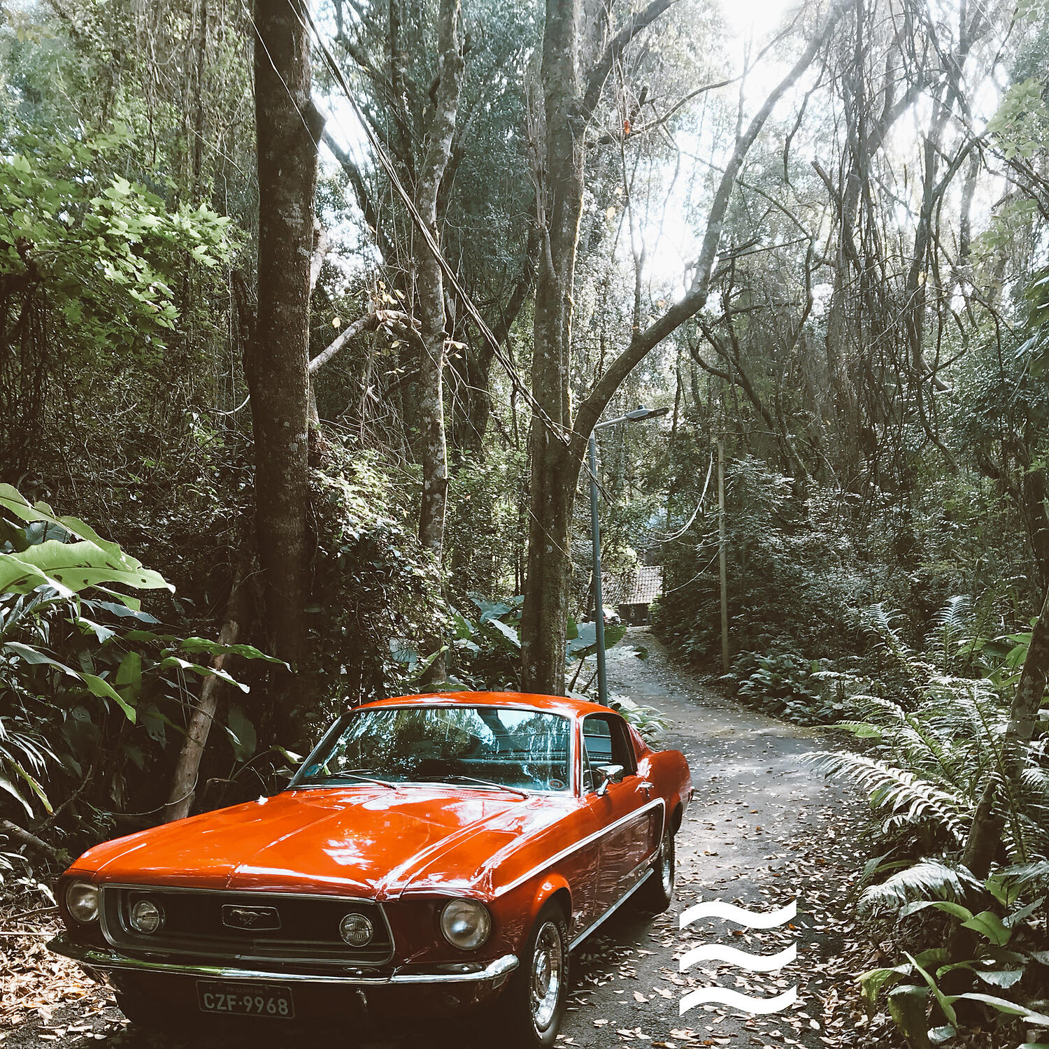 Serene Sounds of Rain - Serene Sounds of Calming Raining