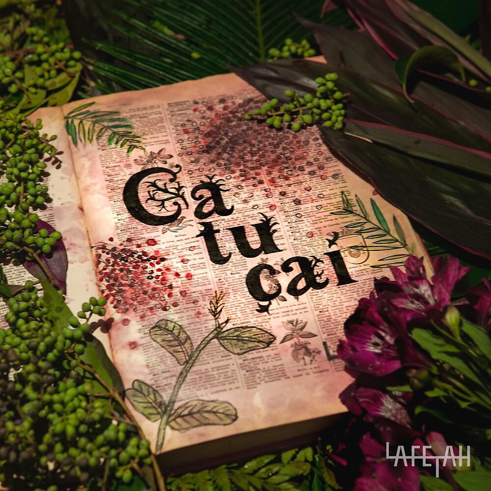 Постер альбома Catuçaí