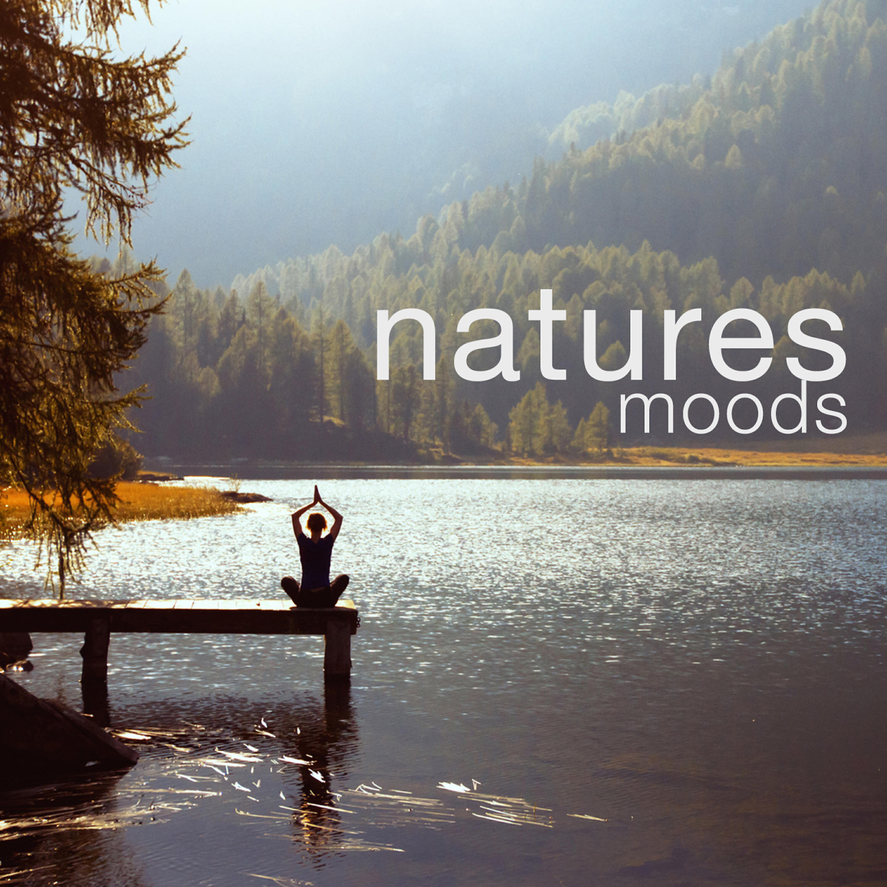 Nature Moods - Wood Stream