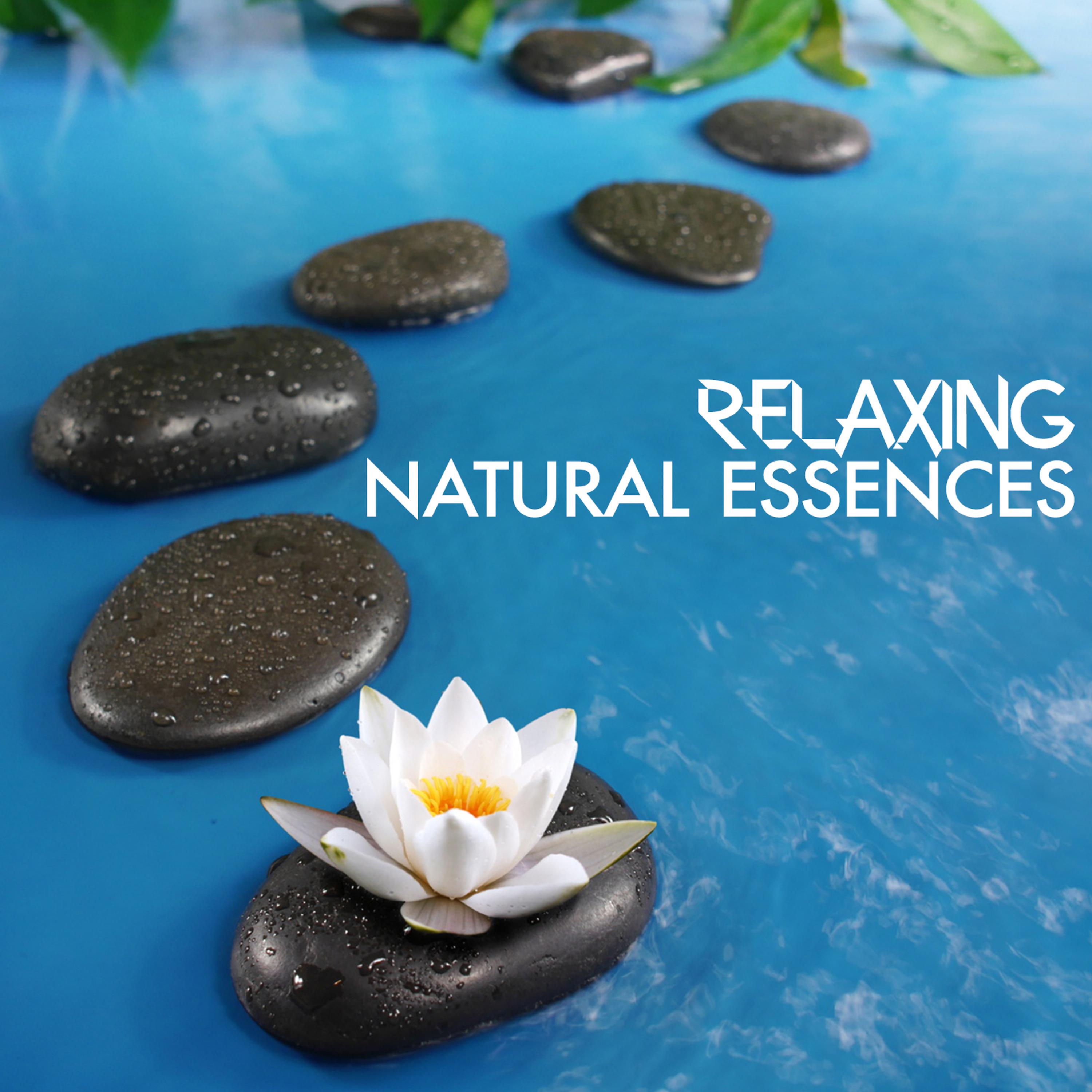 Постер альбома Relaxing Natural Essences