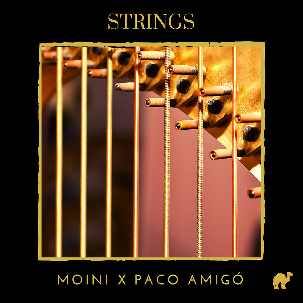 Moini - Strings