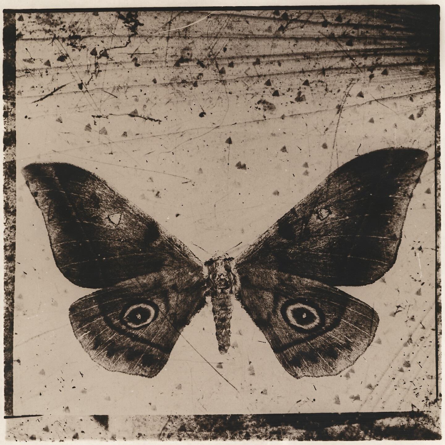 Альбом Мой трип-хоп, Ч. 2 исполнителя РИЧ