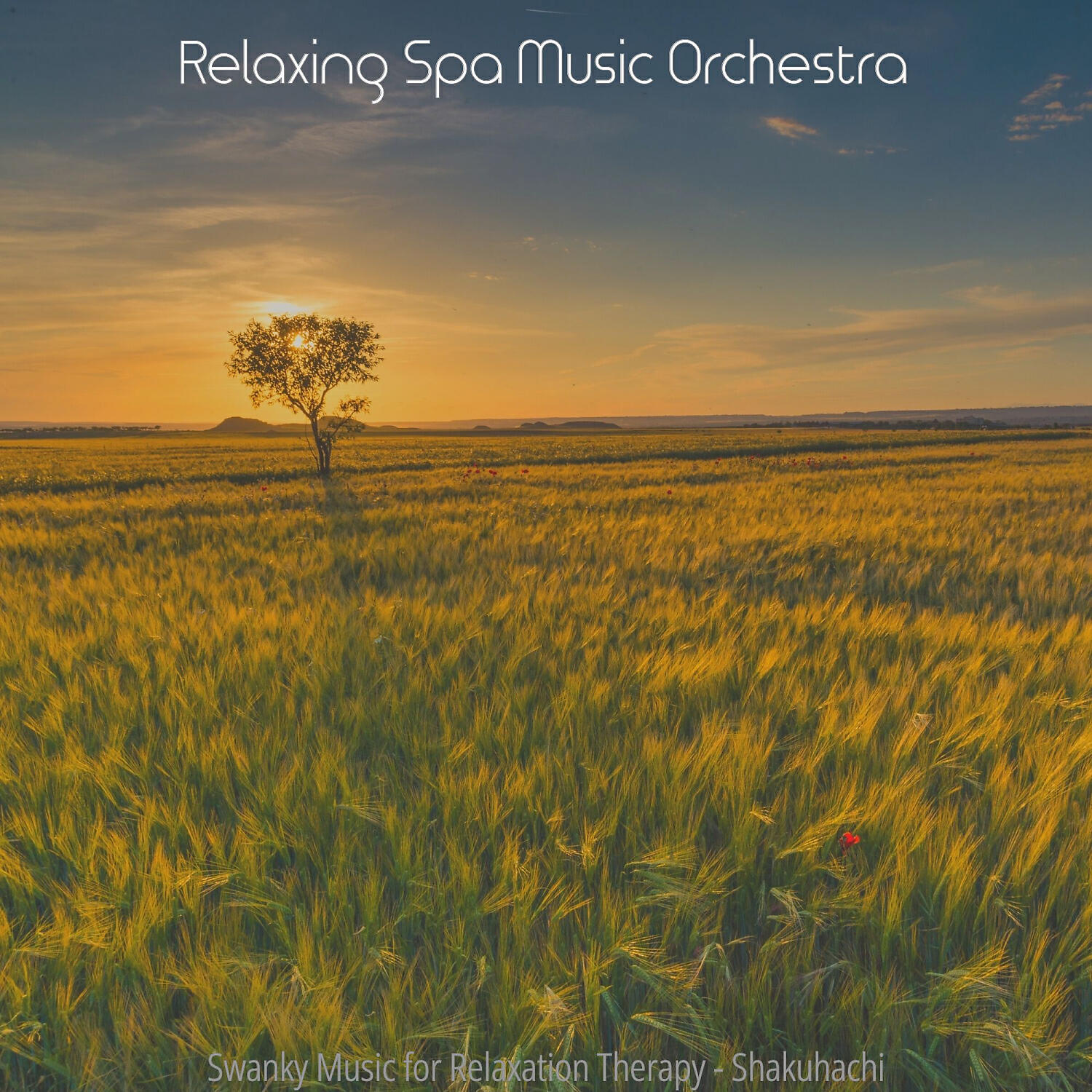 Relaxing Spa Music Orchestra - Background for Steam Baths