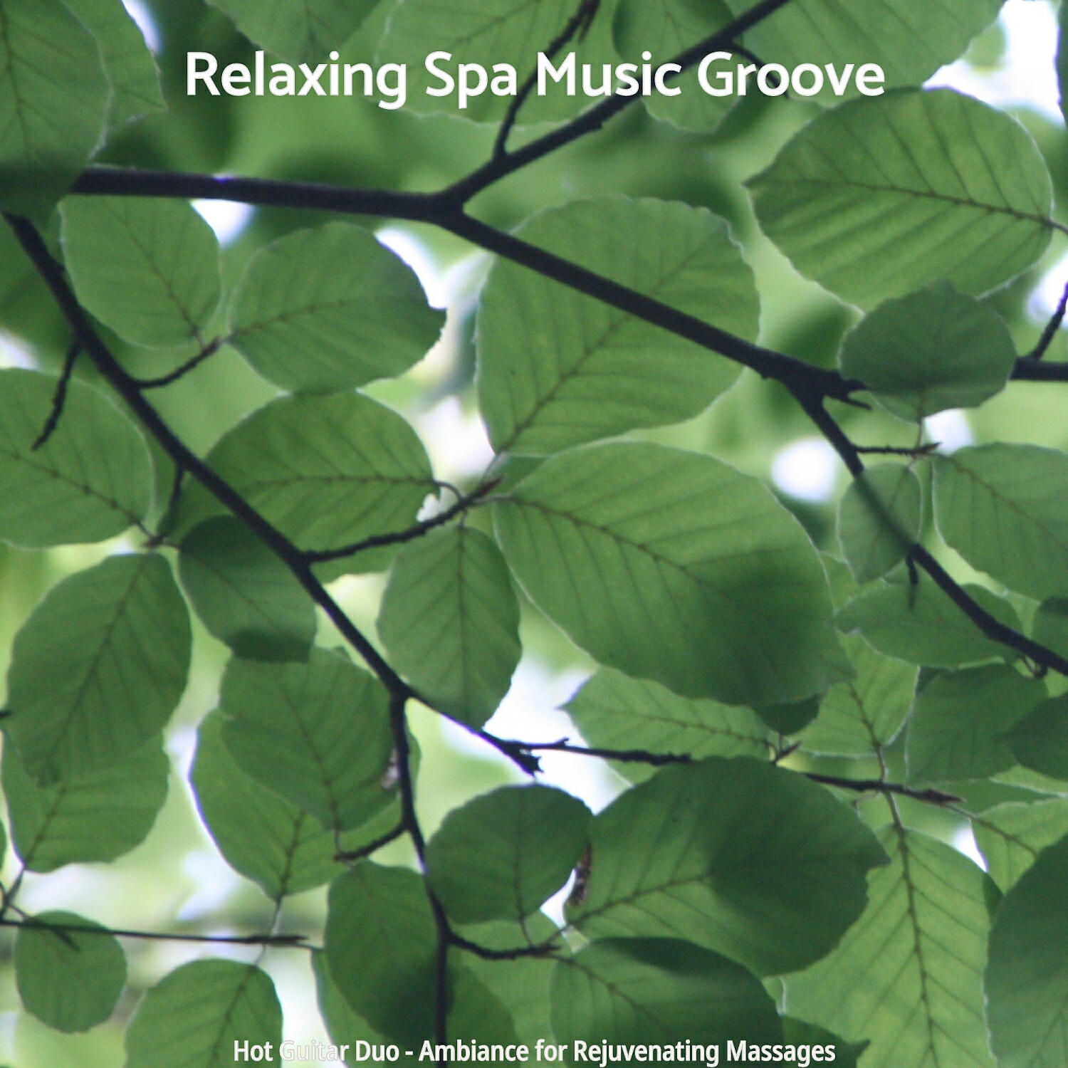 Relaxing Spa Music Groove - Marvellous Ambience for Mineral Baths