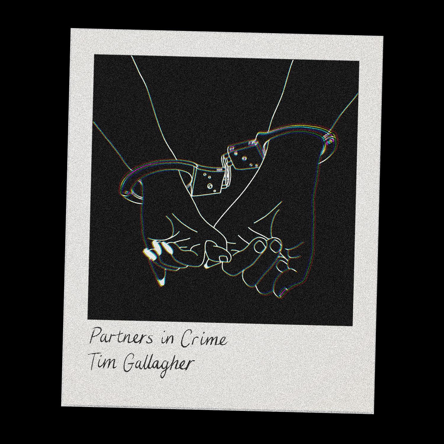 Постер альбома Partners In Crime