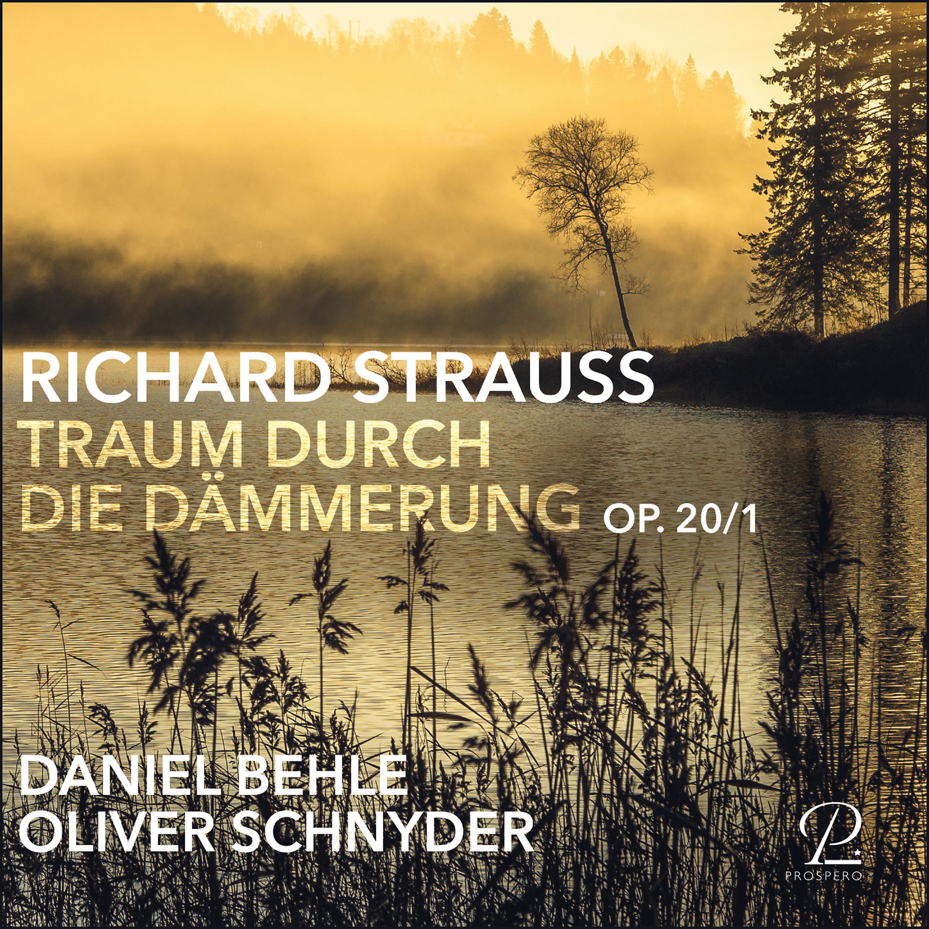 Постер альбома Traum durch die Dämmerung, Op. 29, No. 1