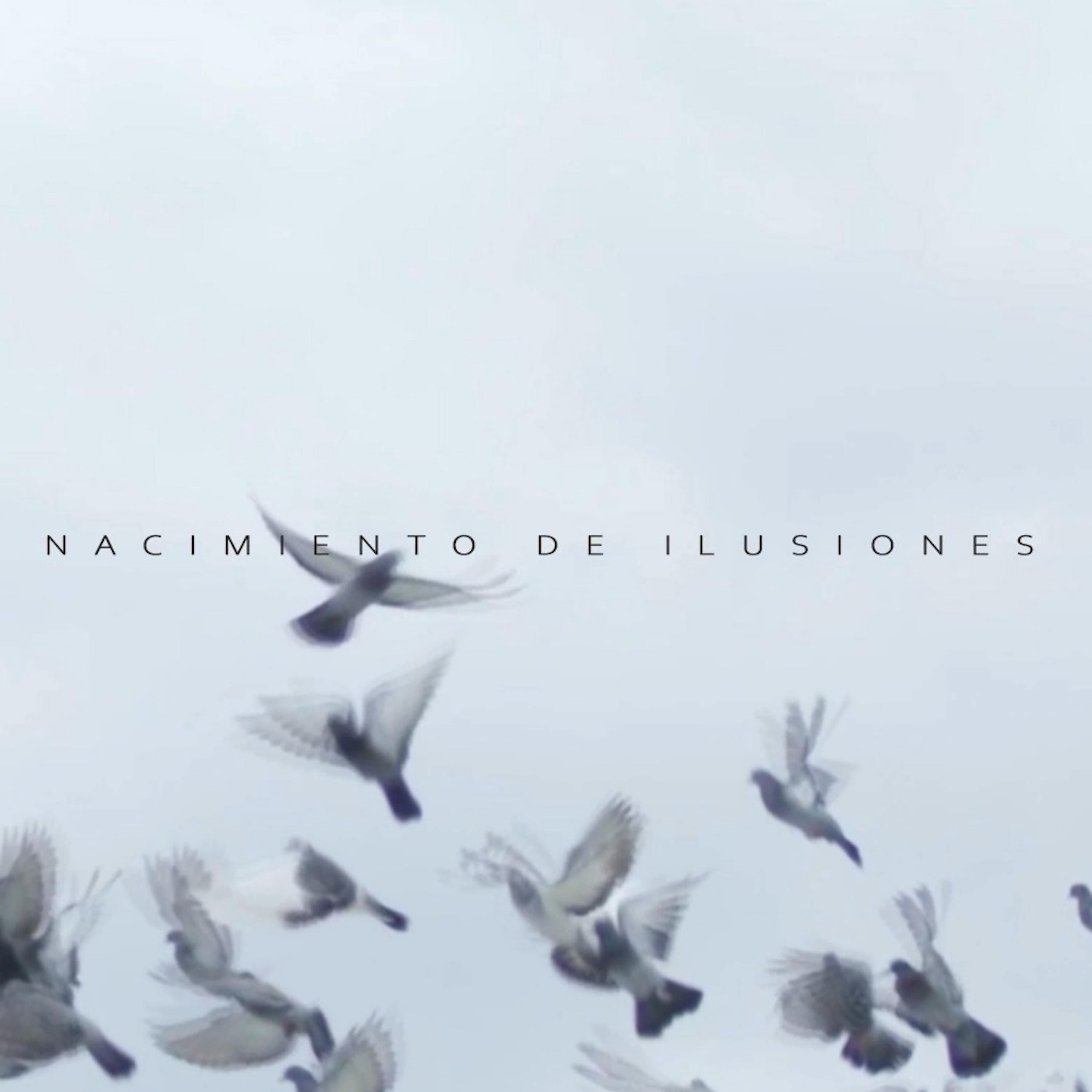 Постер альбома Nacimiento de Ilusiones