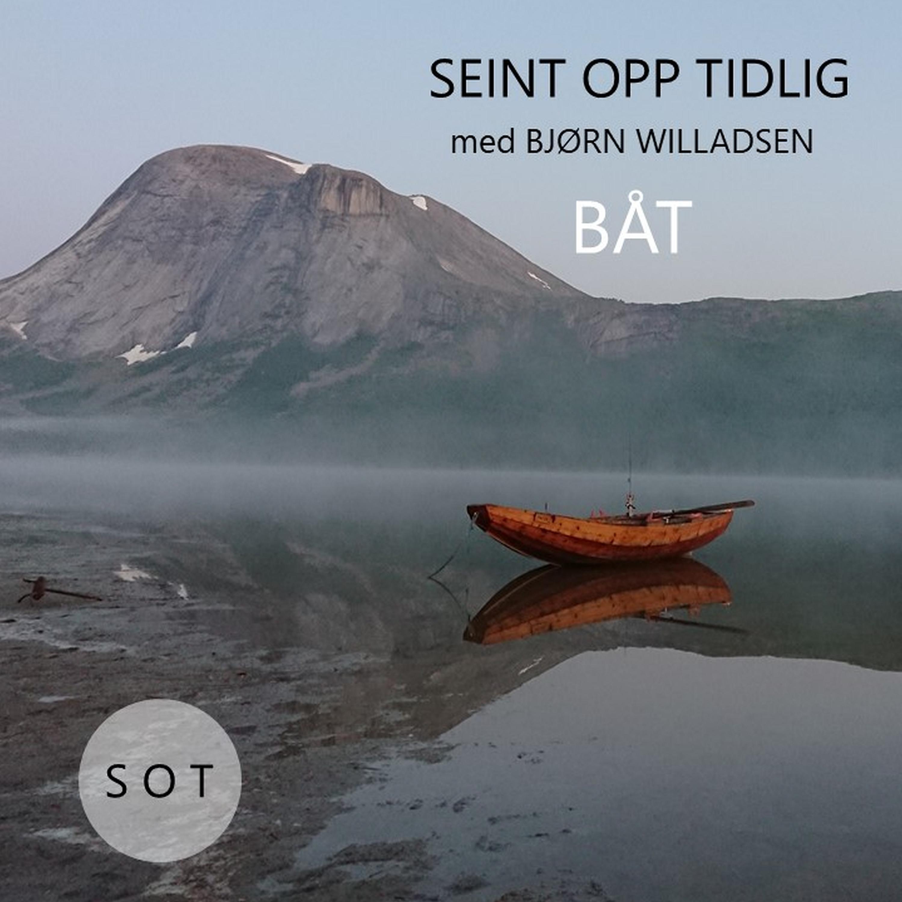 Постер альбома Båt