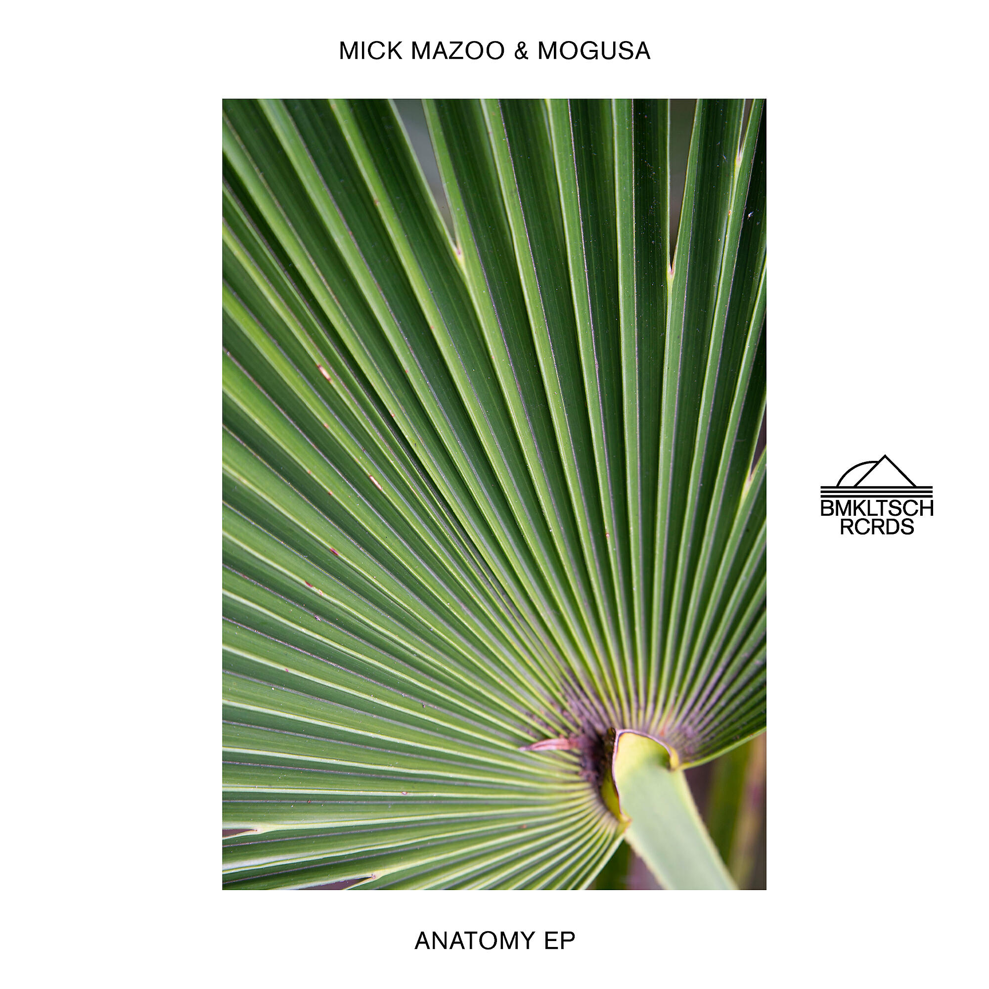 Mick Mazoo - Anatomy