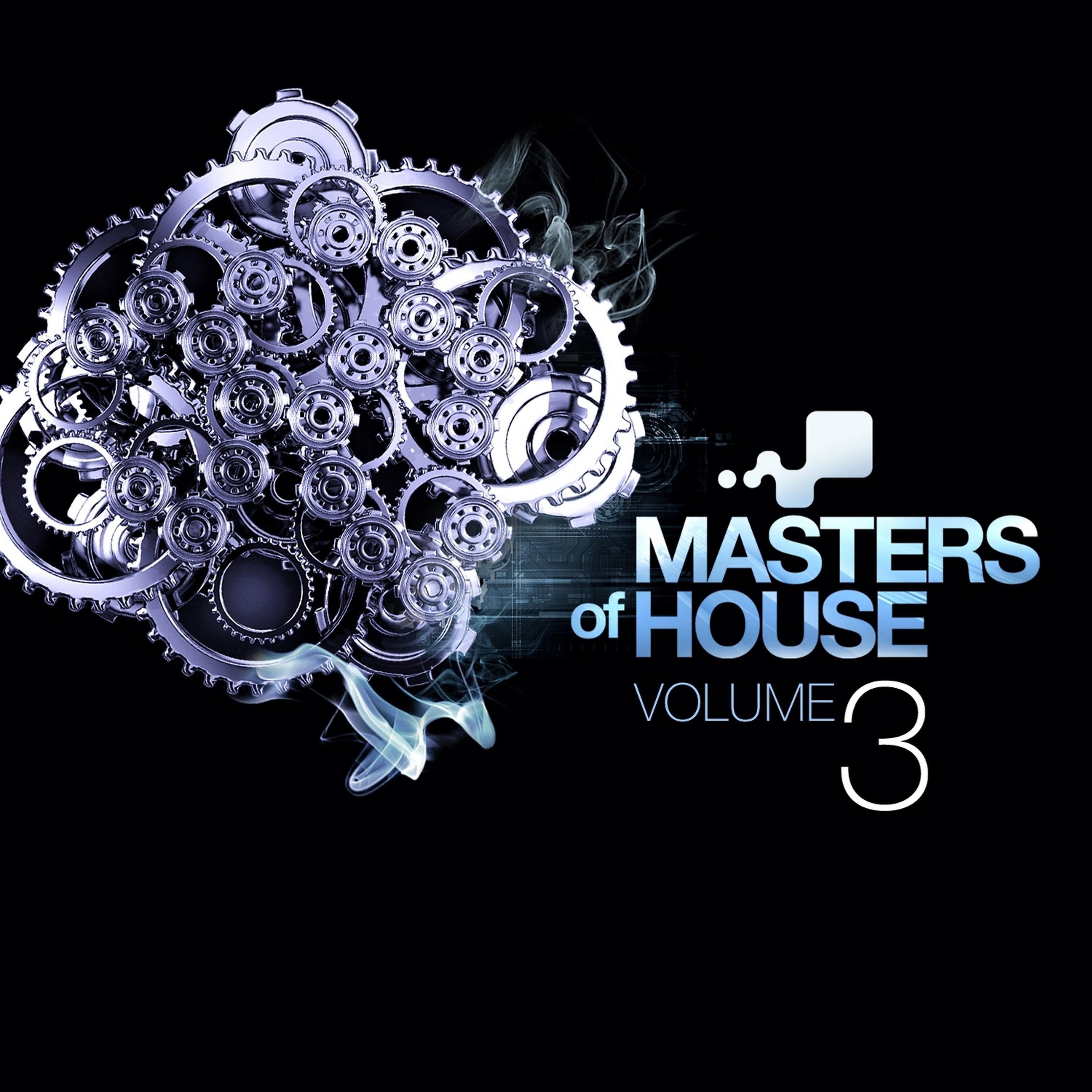 Постер альбома Masters of House Vol. 3