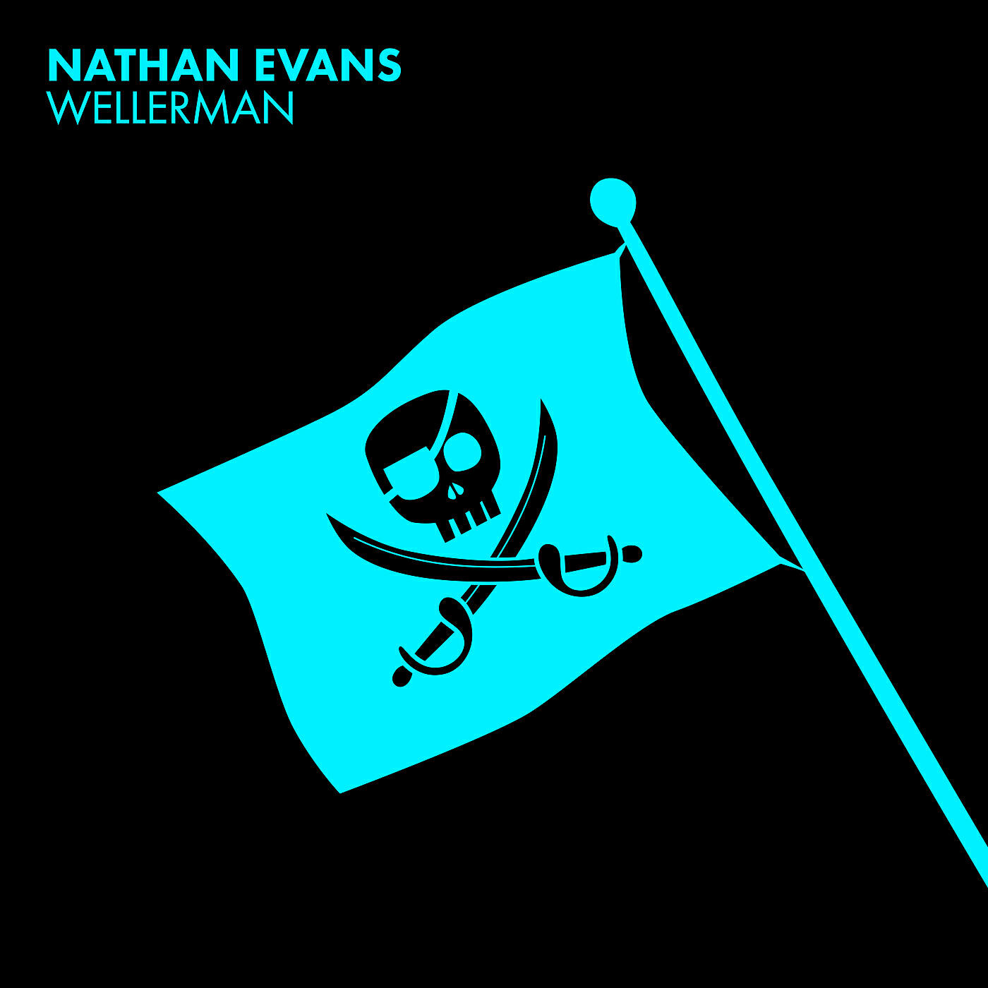 Nathan Evans - Wellerman (Sea Shanty)