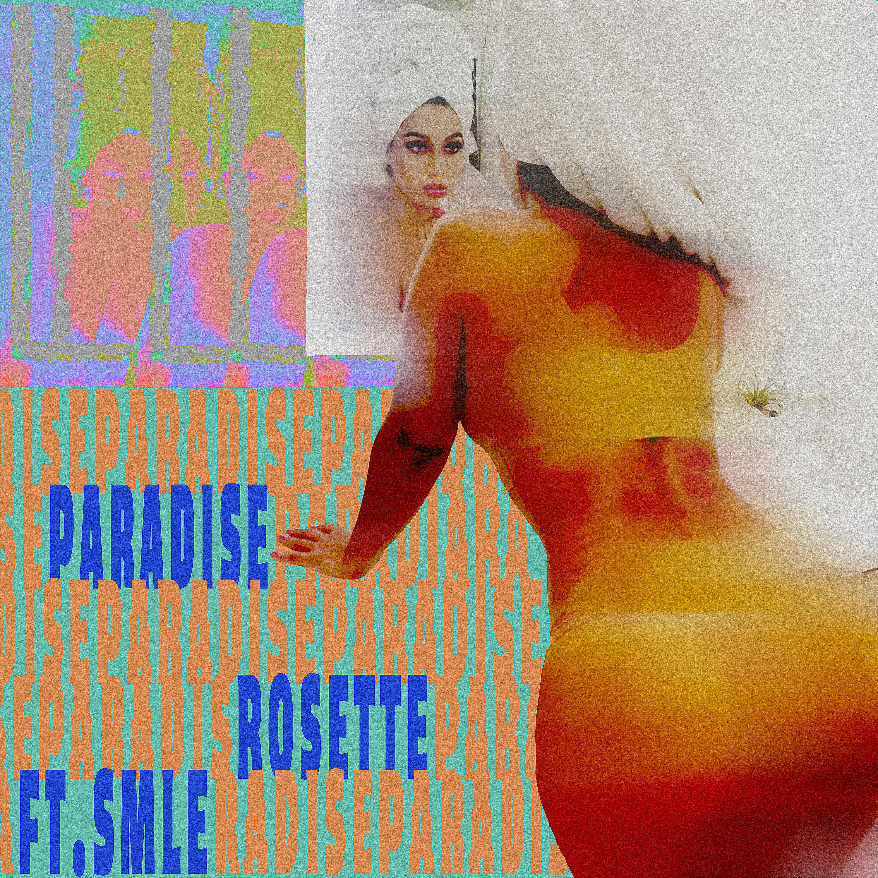 Rosette - Paradise