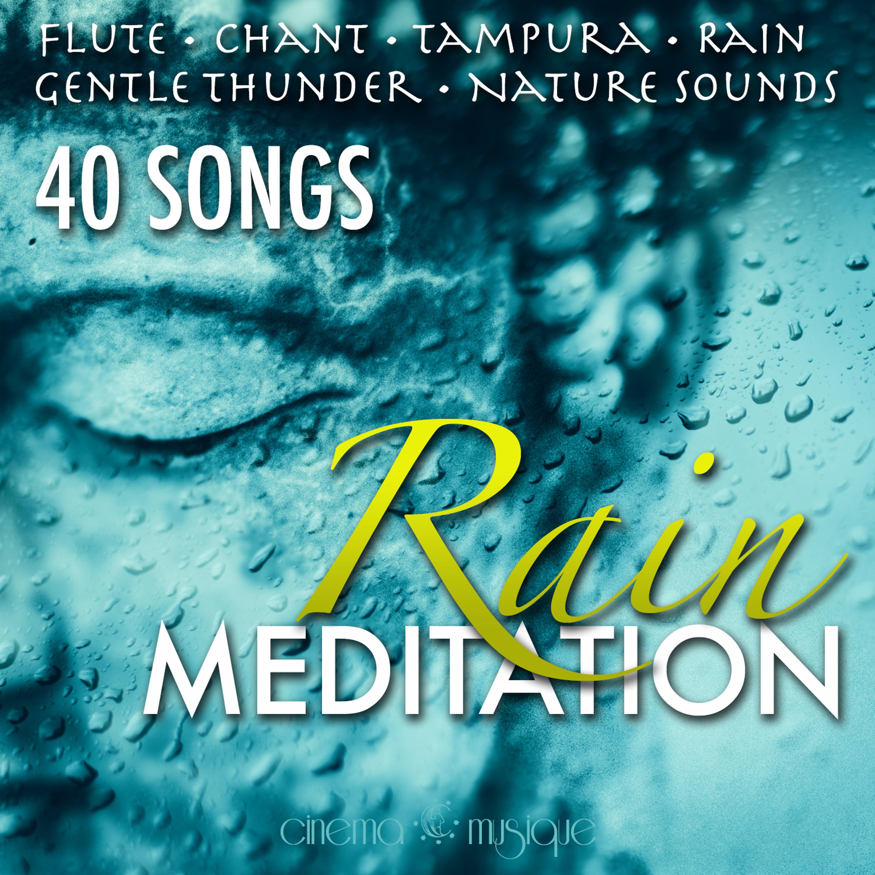Постер альбома Rain Meditation 40 Songs with Sounds of Nature, New Age Relaxing, Asian Meditation, Deep Sleep, Serene Zen, Music for Spas, Flutes, Chant, Rain, Yoga, Natural White Noise, Music for Study