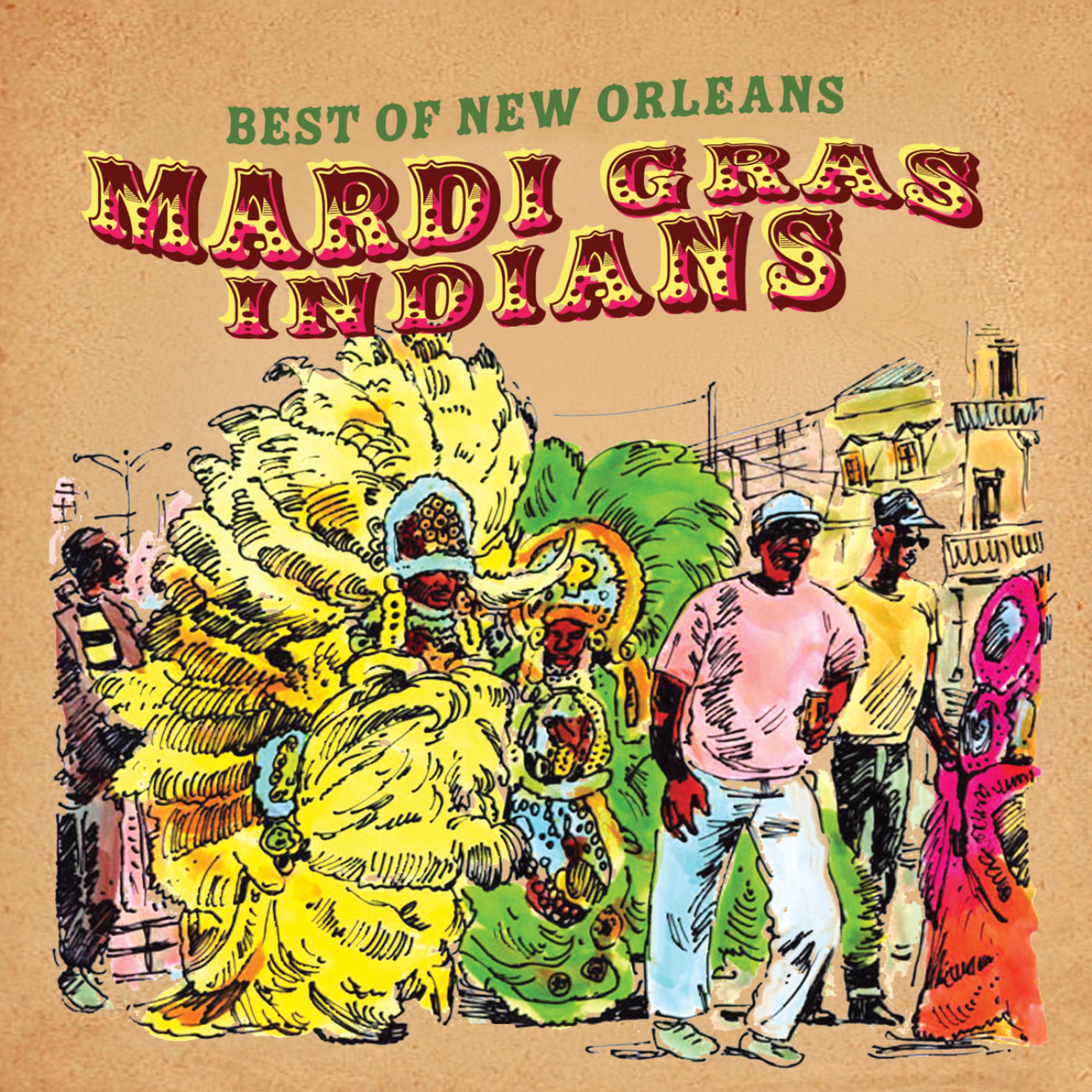 Постер альбома Best of New Orleans (Mardi Gras Indians)