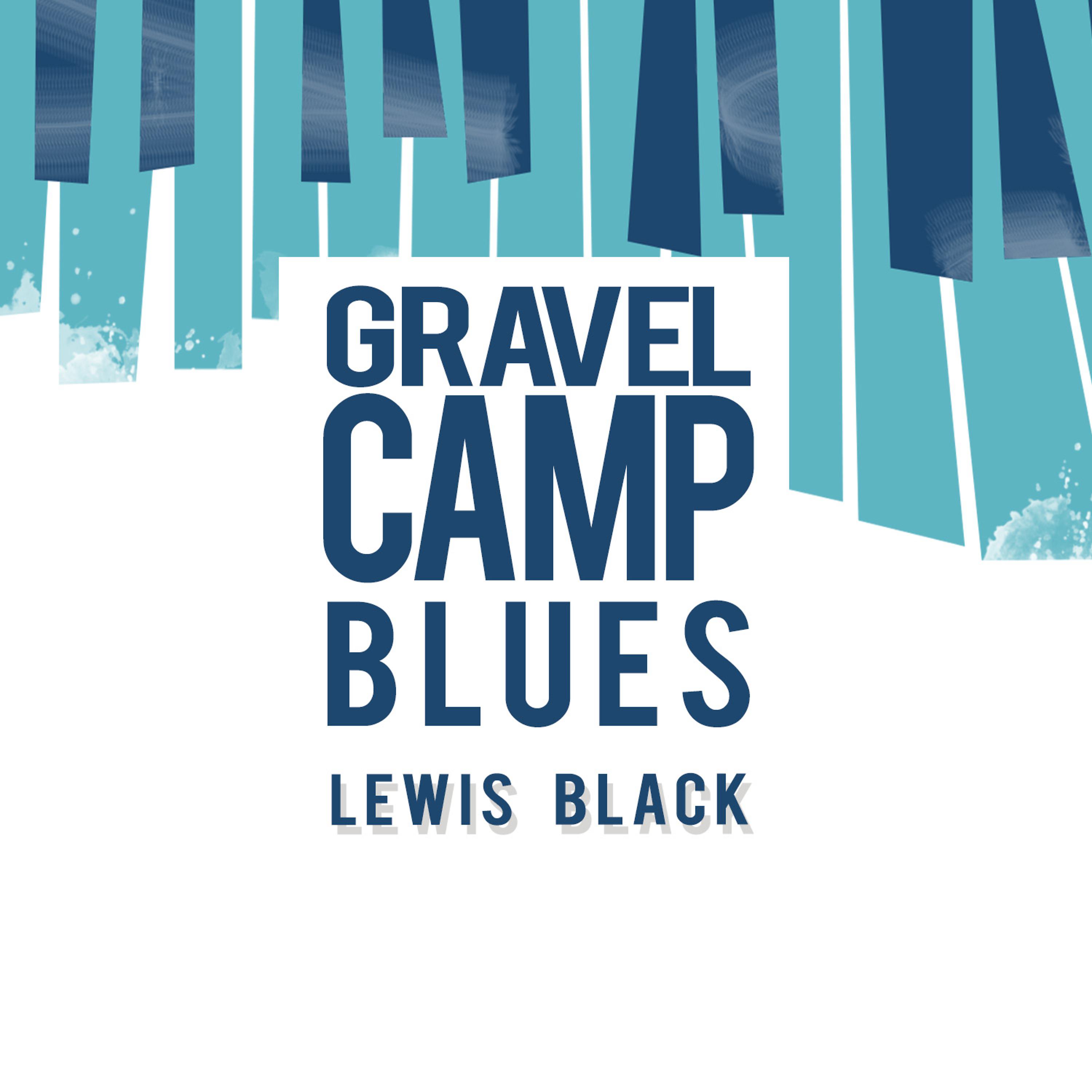 Постер альбома Gravel Camp Blues