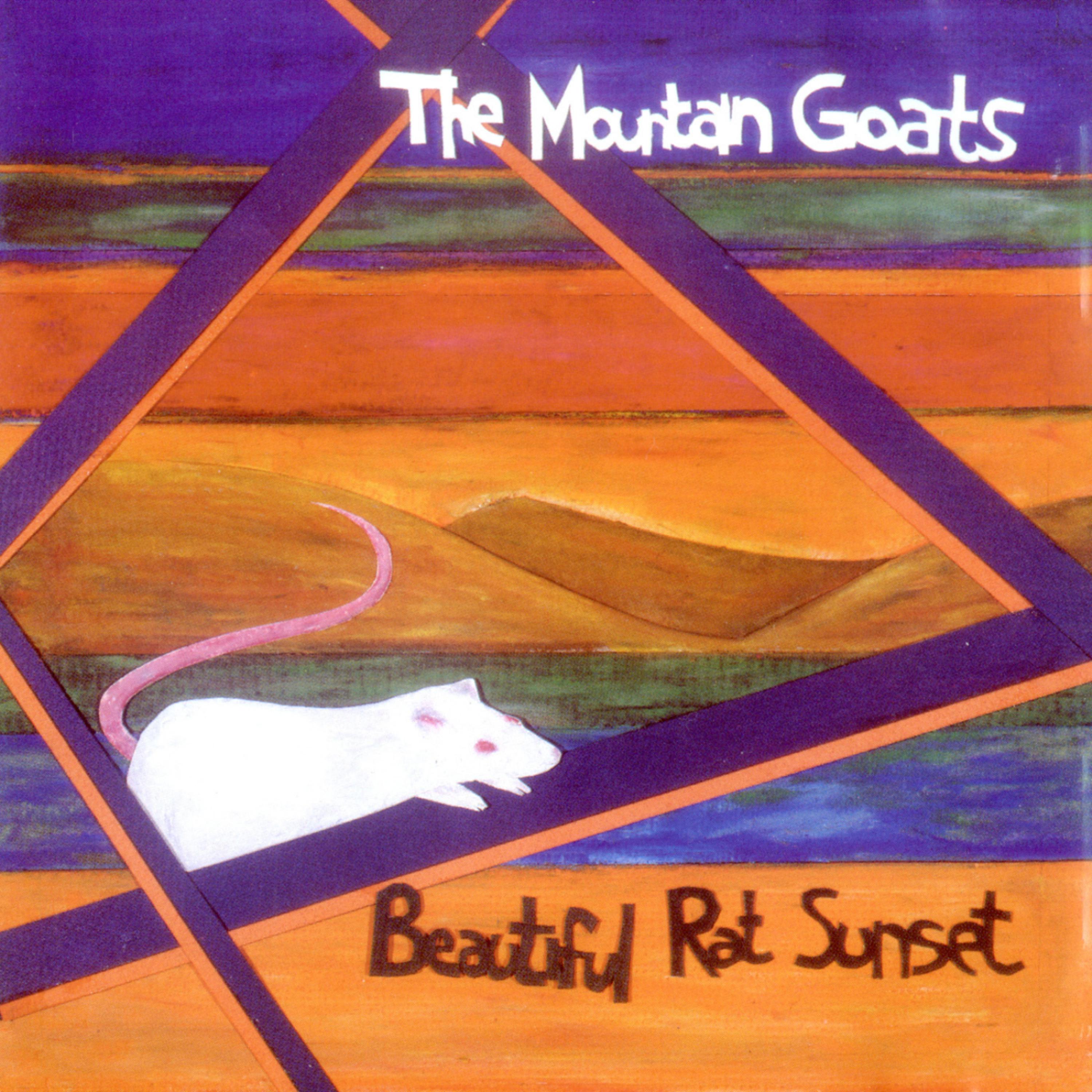 Постер альбома Beautiful Rat Sunset